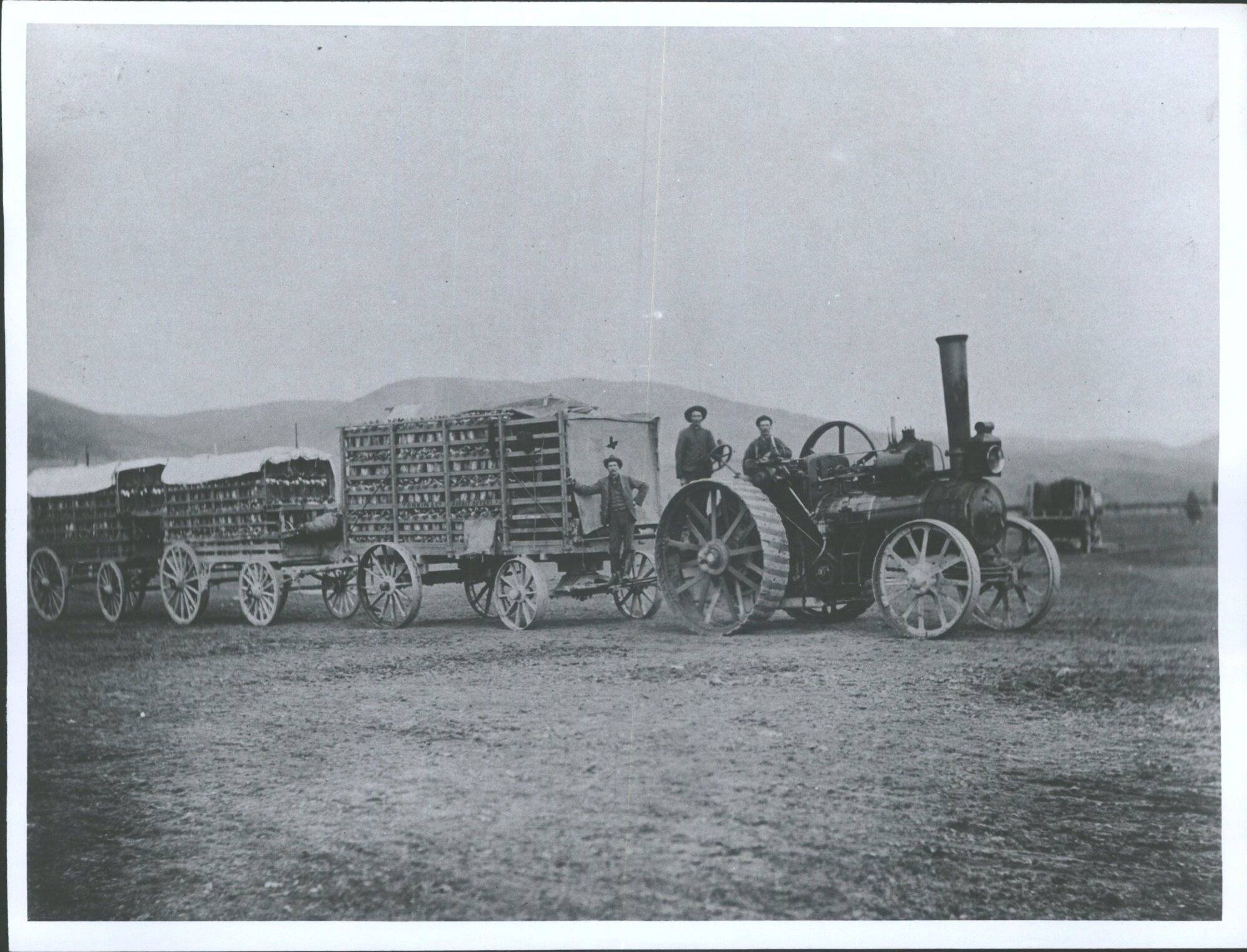 Traction Engine pulling Rabbit Carts (Lawrence?)
