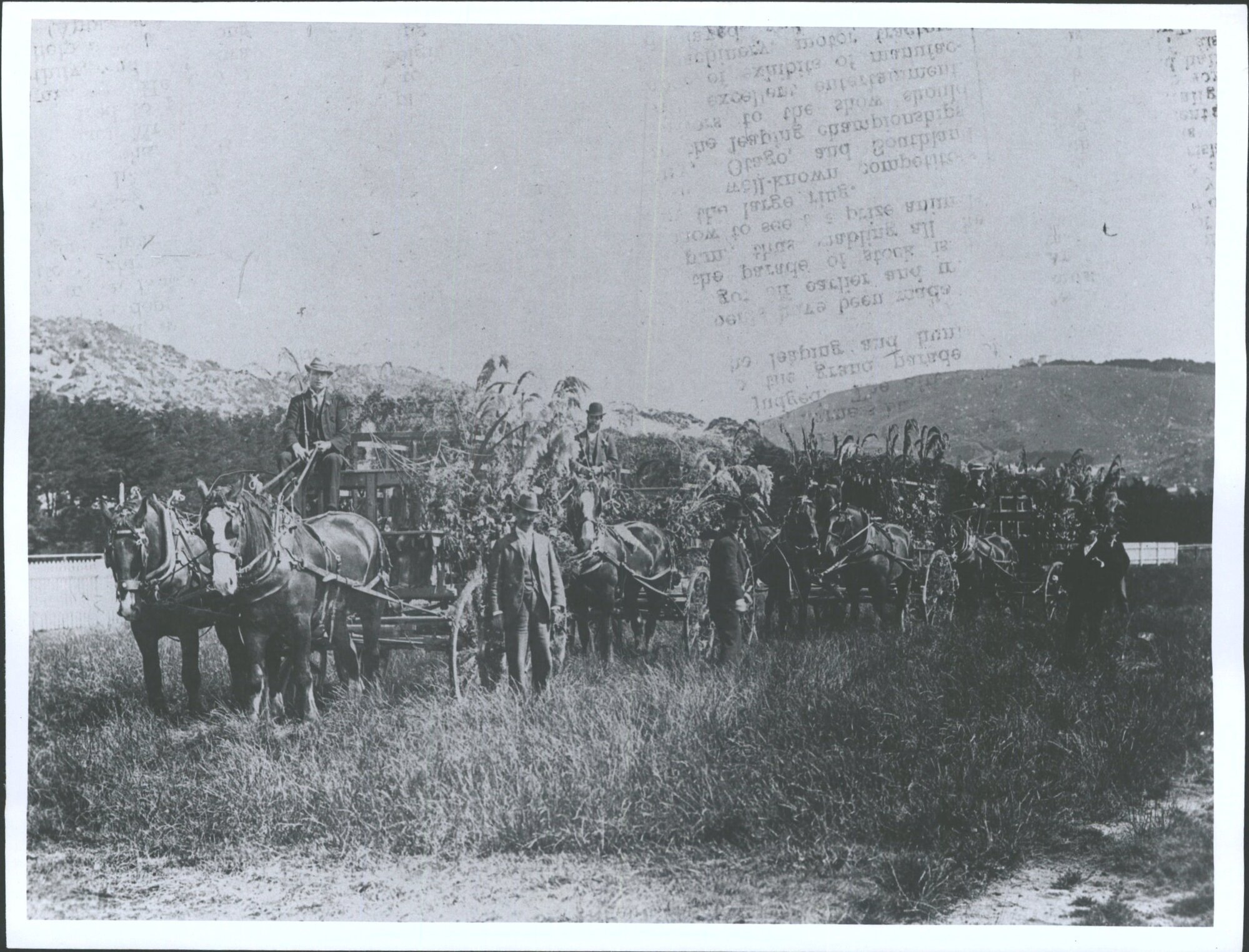 Decorated Rabbit Carts