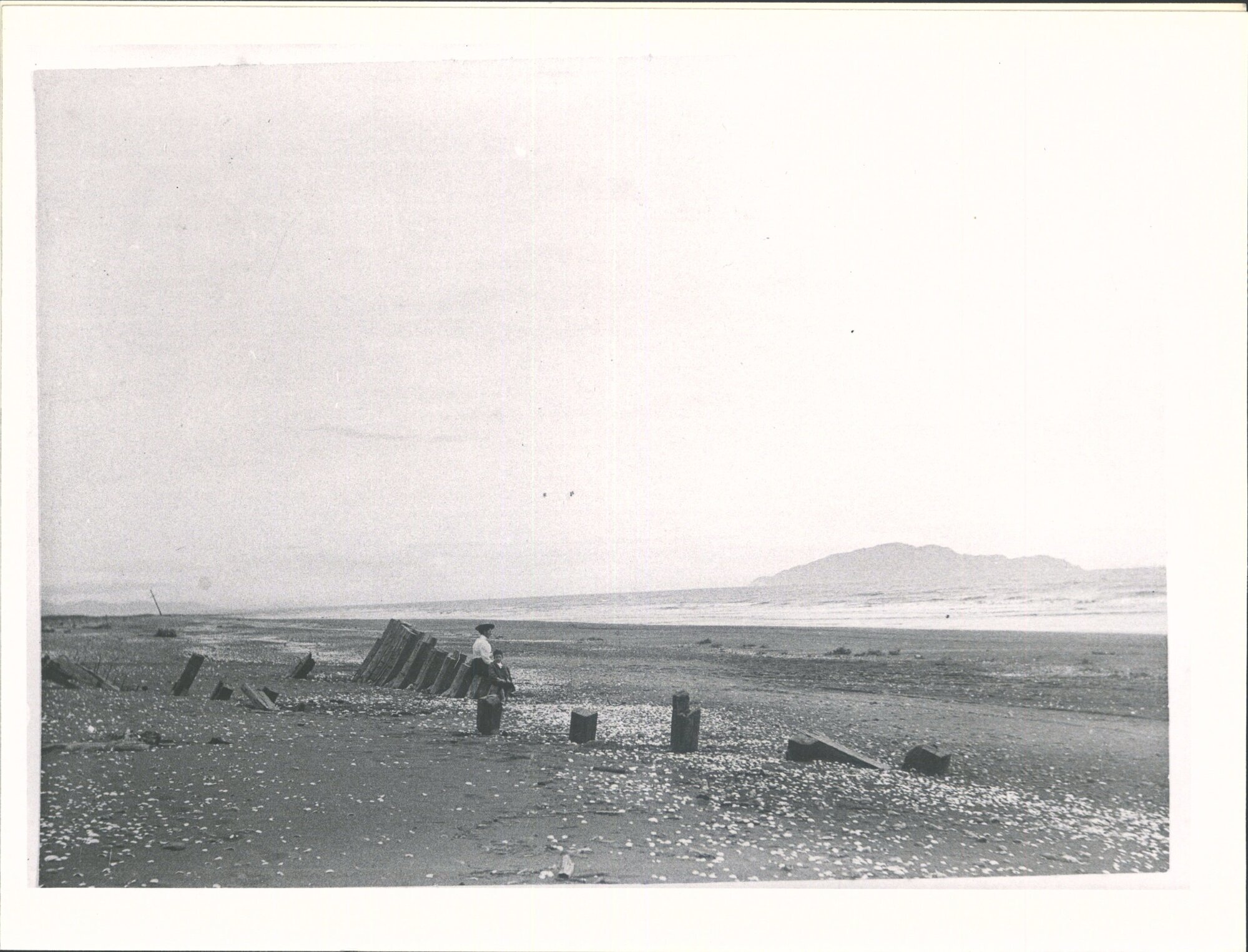 Tangi of Hoani taipua