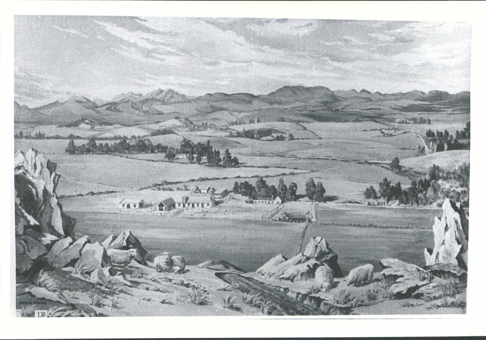 Totara Farm, North Otago