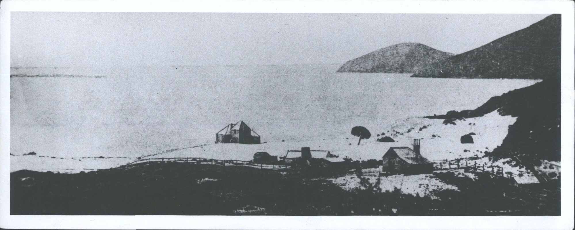Whaling Station