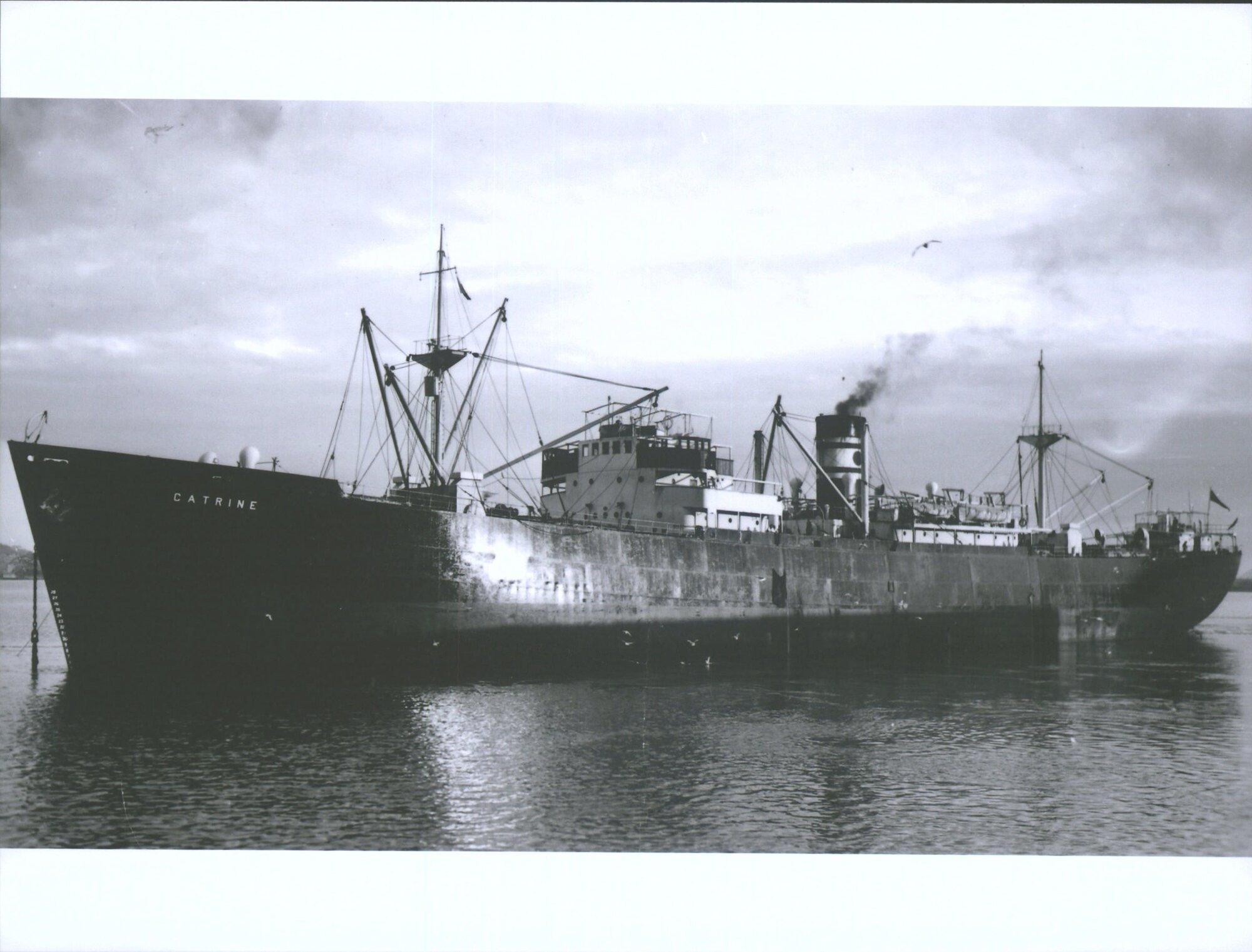 CATRINE