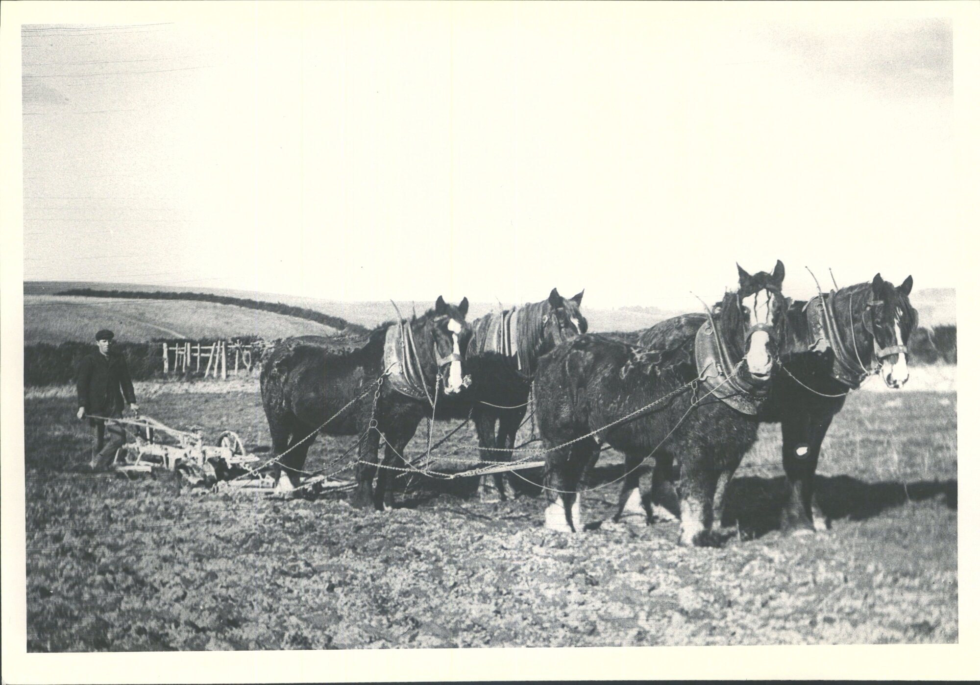 Alexander Dewar with team ploughing on main road between Totara and Maheno