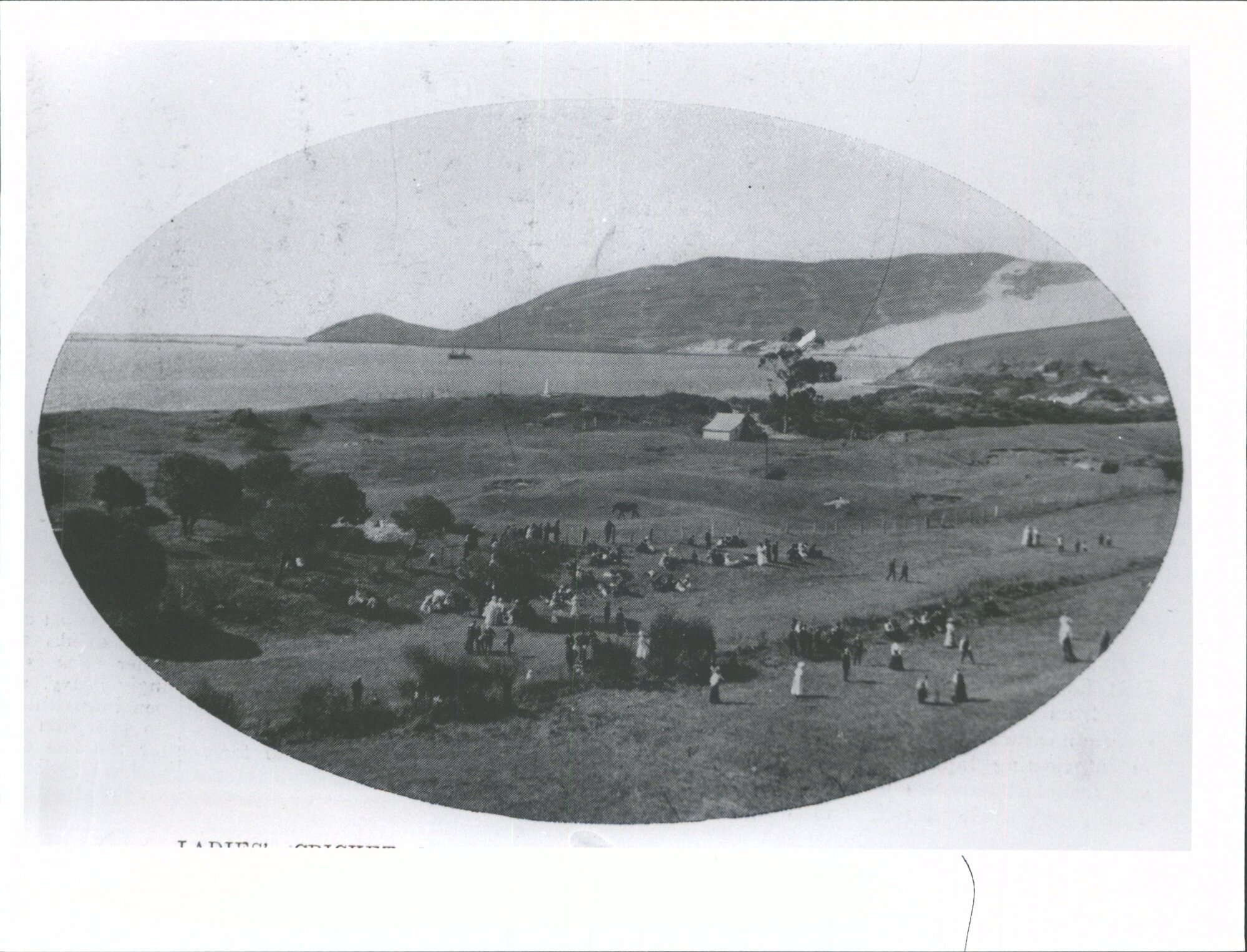 Ladies Cricket combined insurance companies picnic