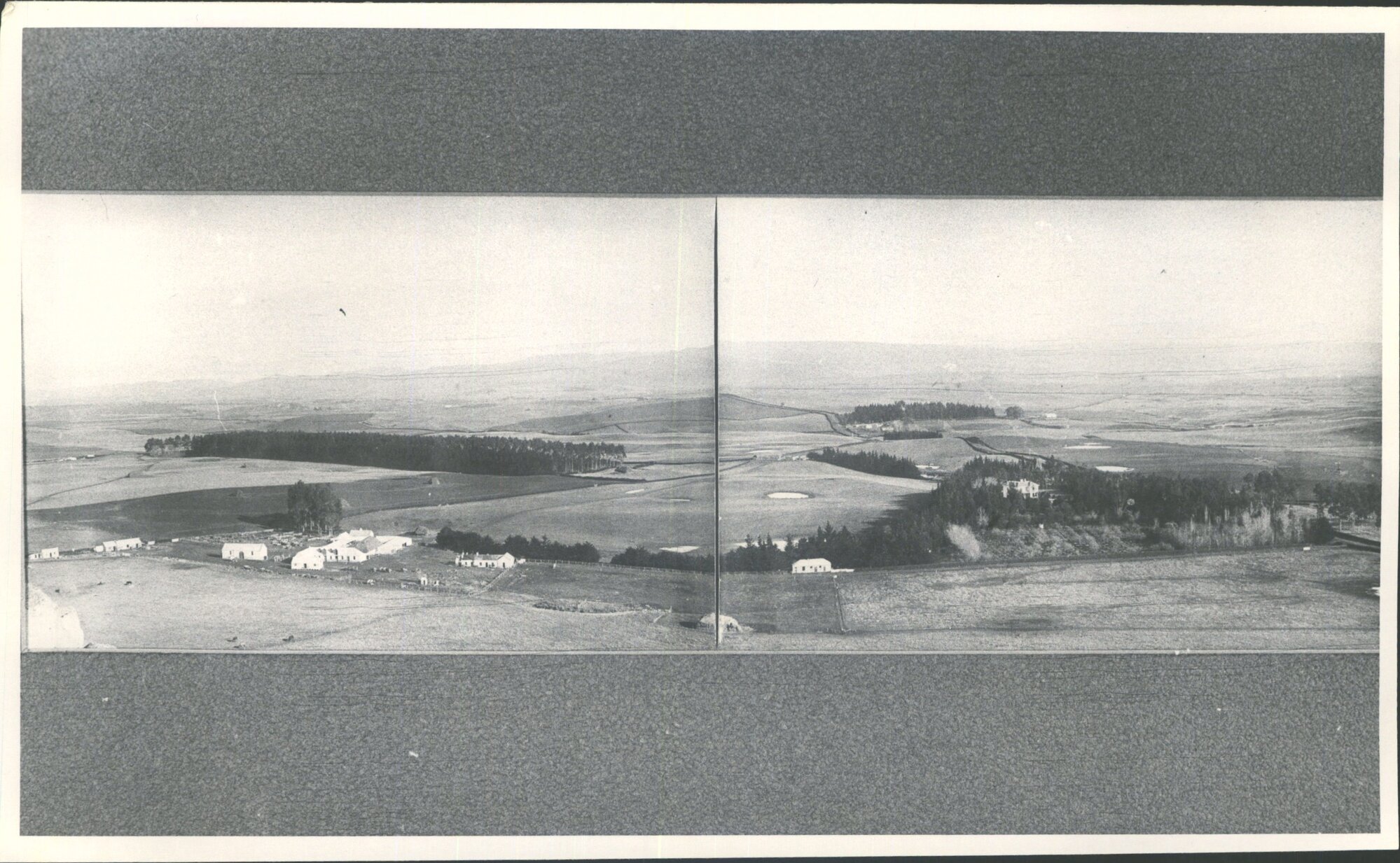 Totara Farm Panorama