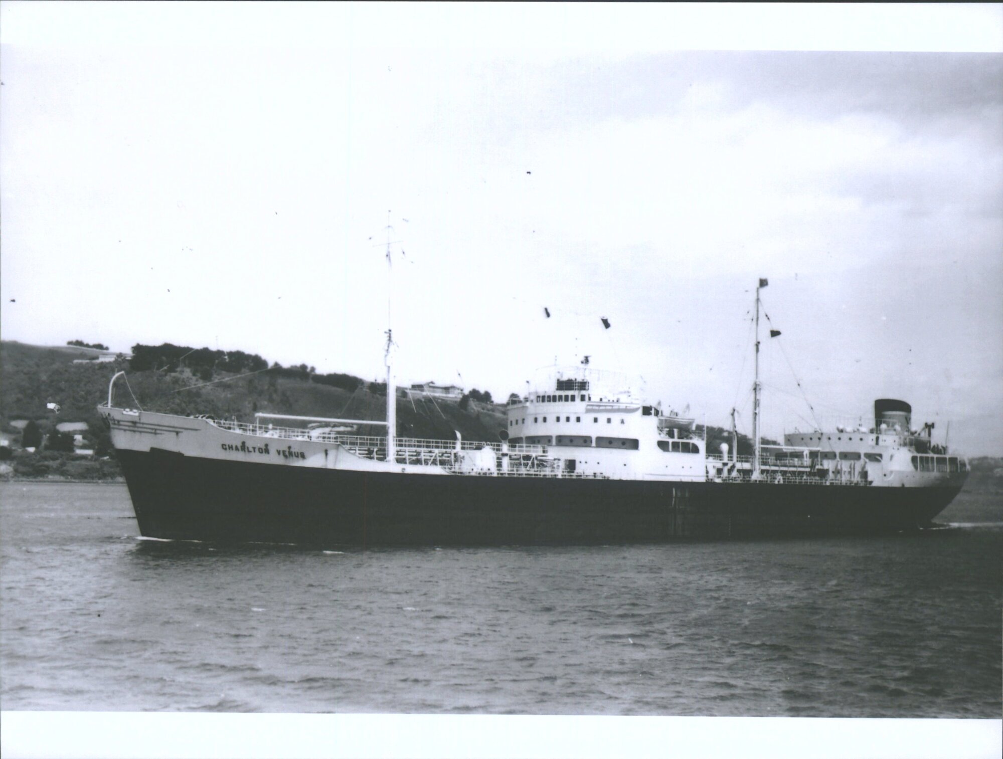 CHARLTON VENUS