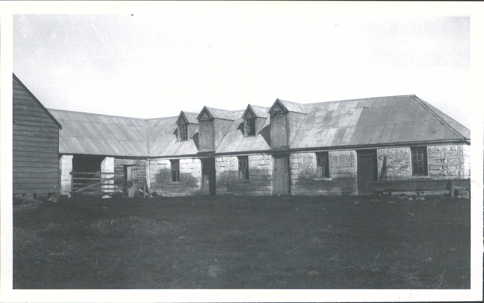 Draught Stable, Totara