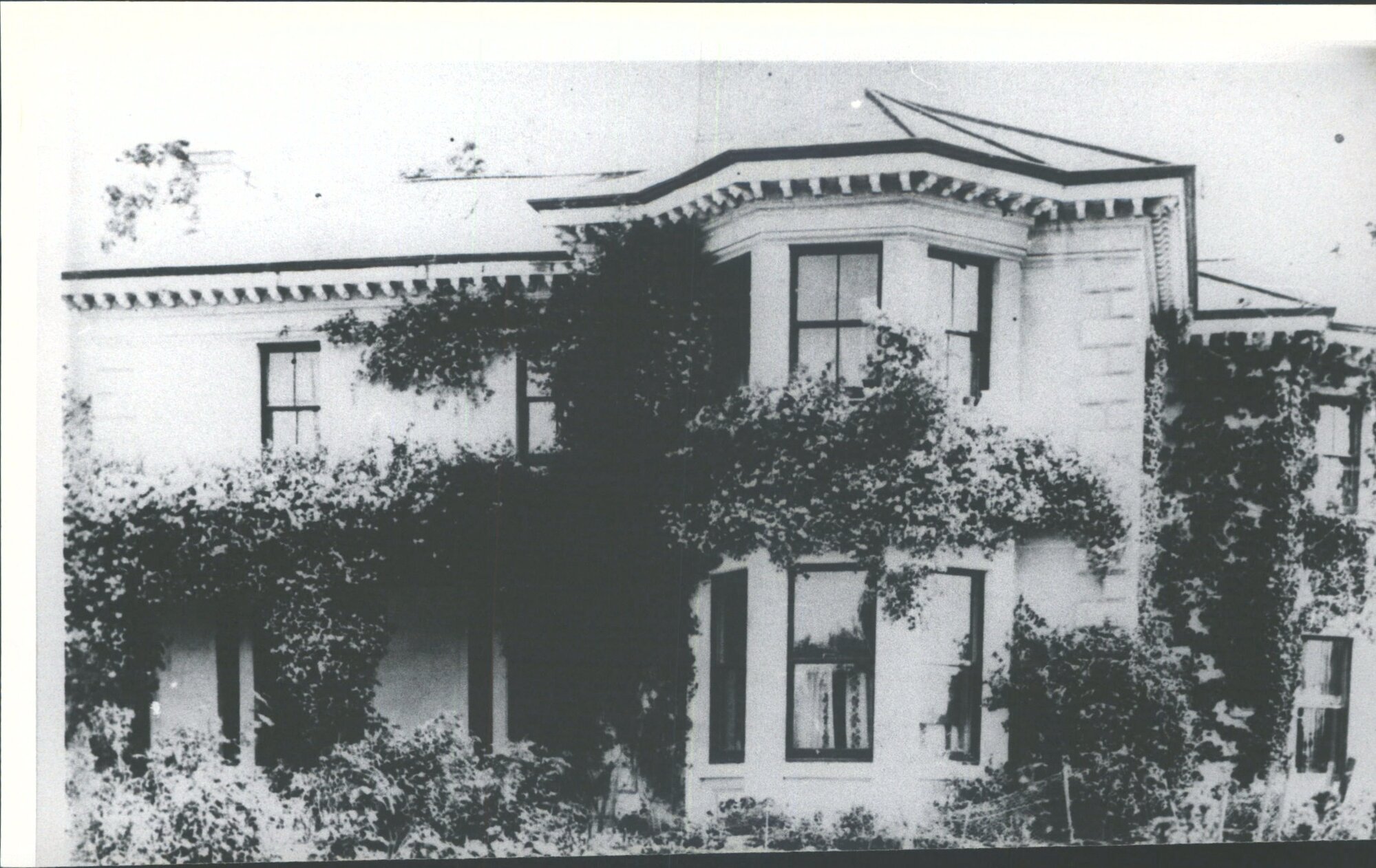 Totara Farm Estate - Homestead