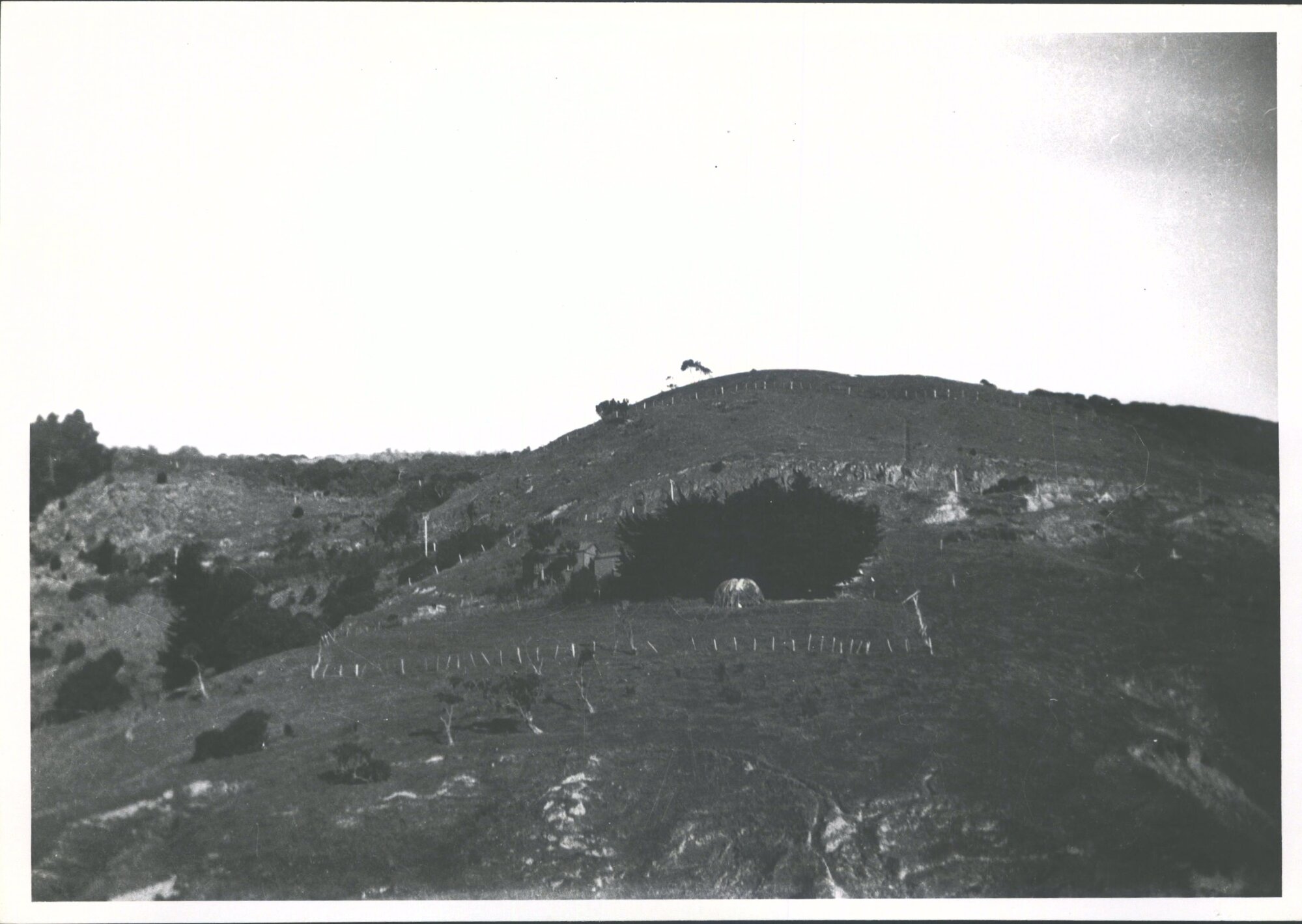Near Mapaitaki Peninsula. Purakanui