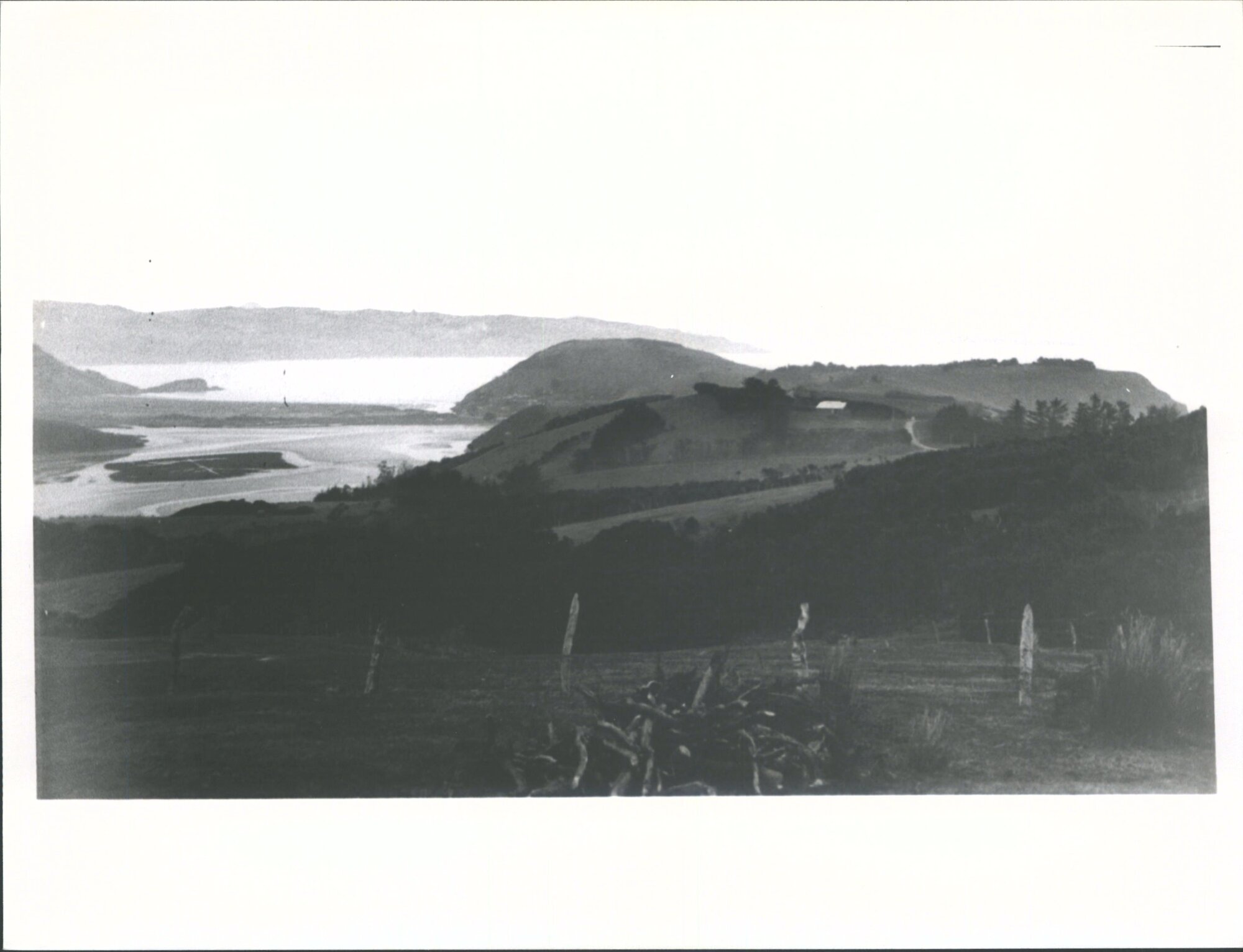 &amp; the Bay from Mihiwaka Road