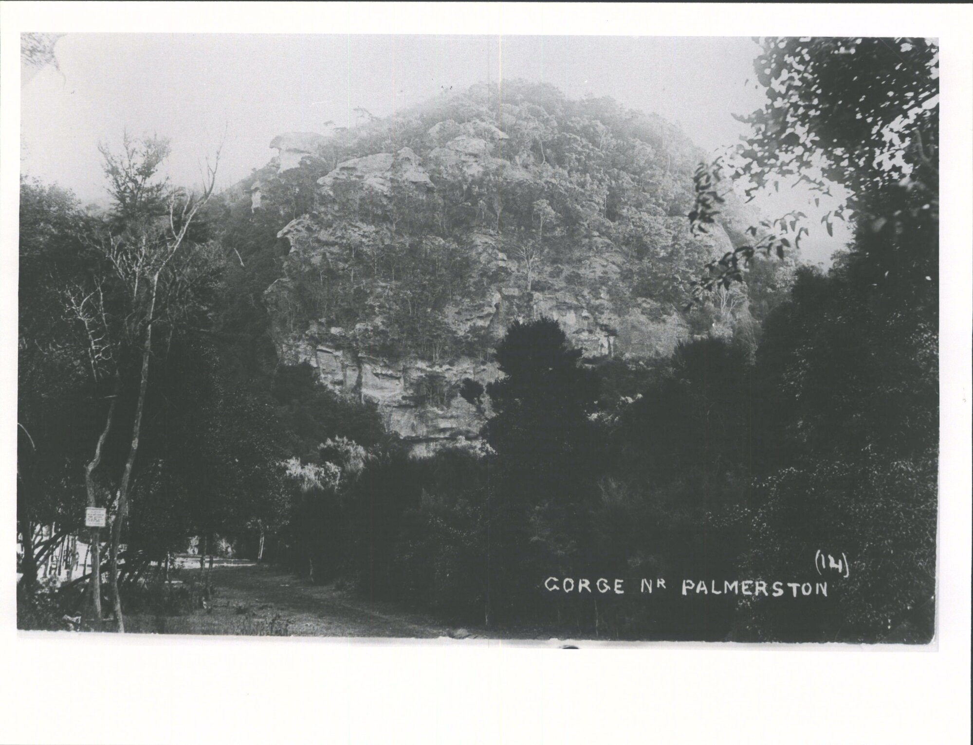 Trotters Gorge near Palmerston