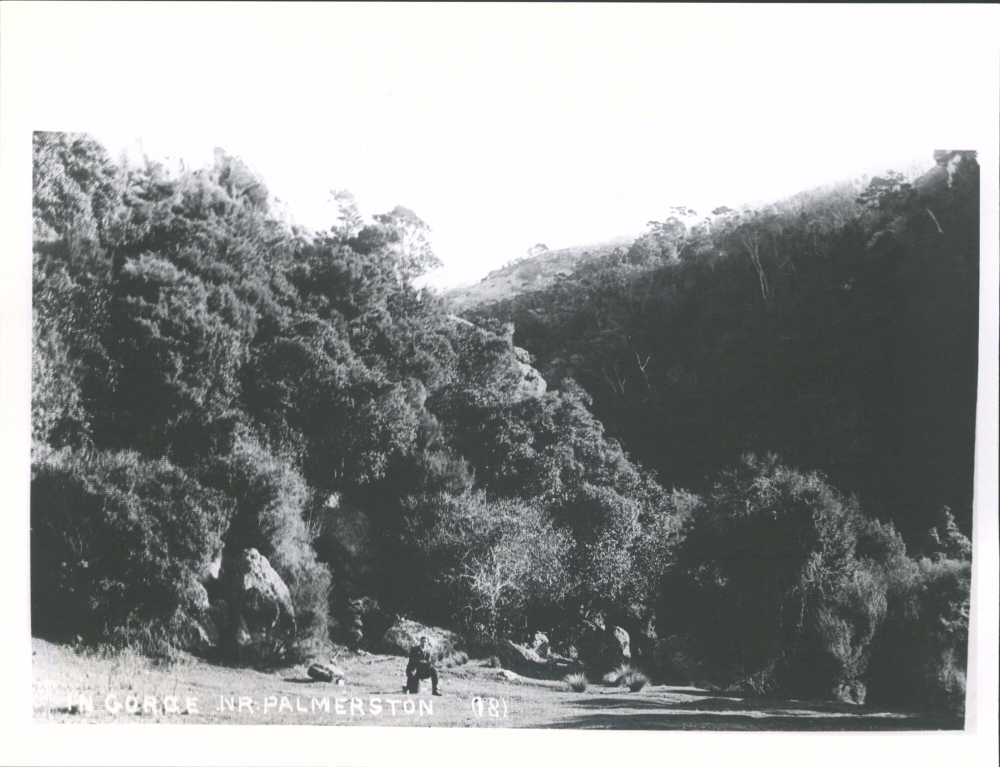 In Gorge Near Palmerston