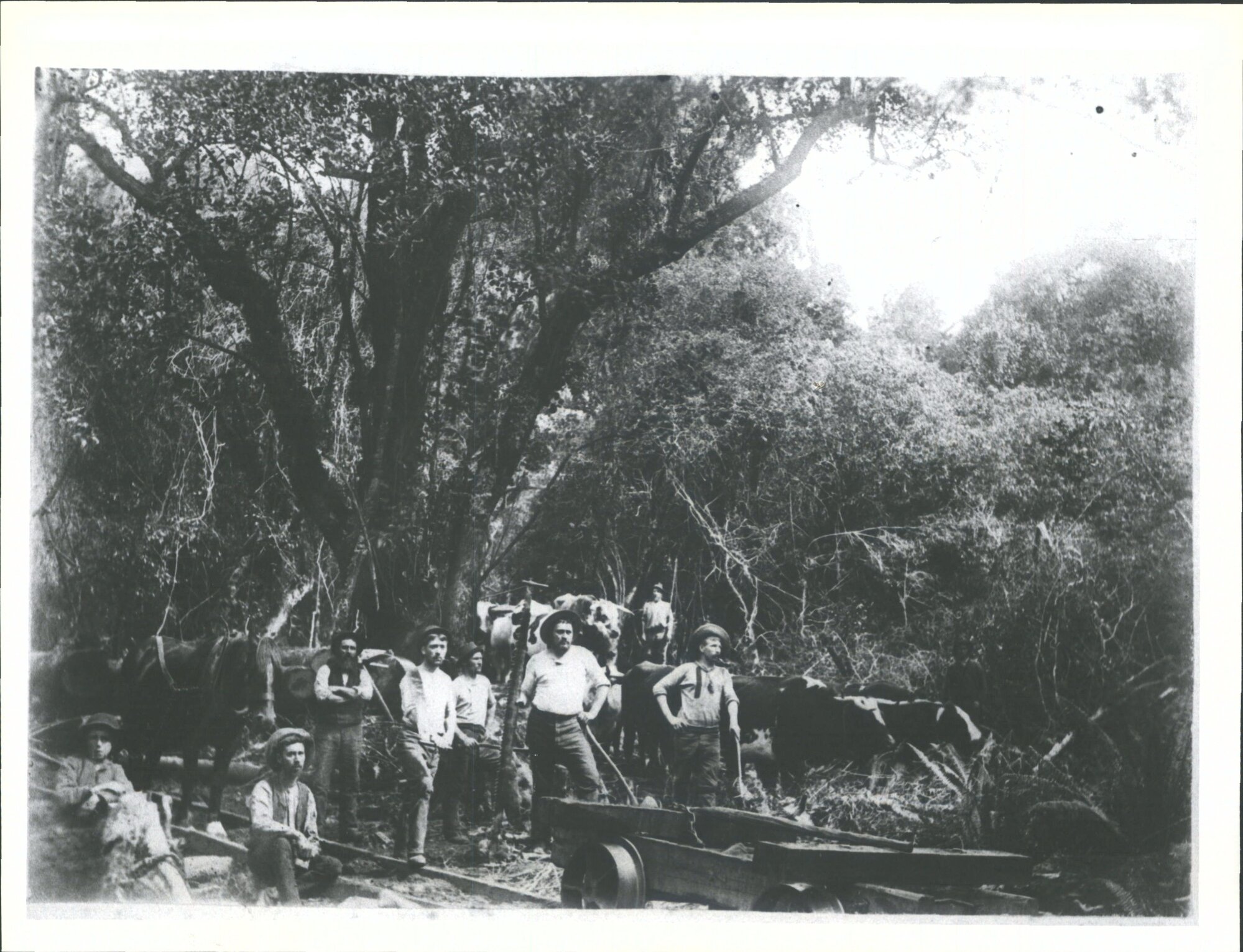 Bushmen of Oteramika Mills