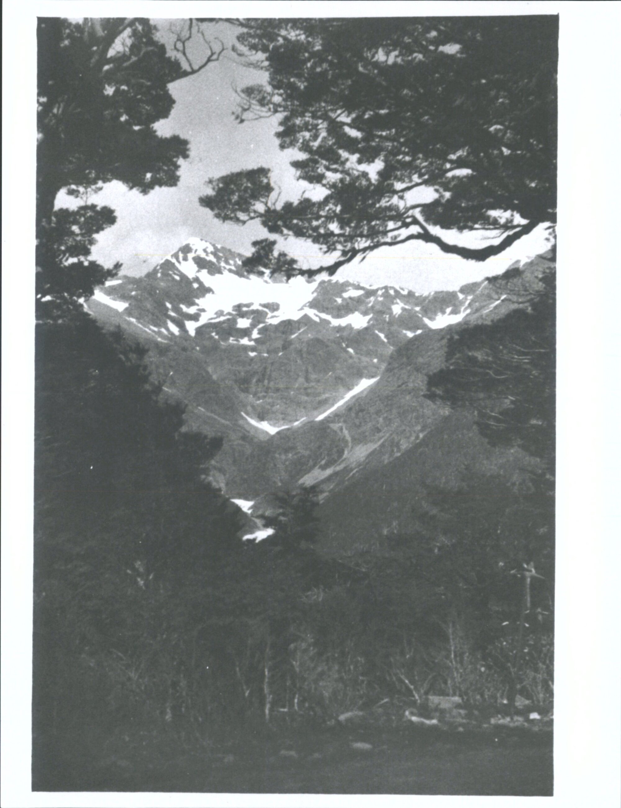 En Route to Milford Sound