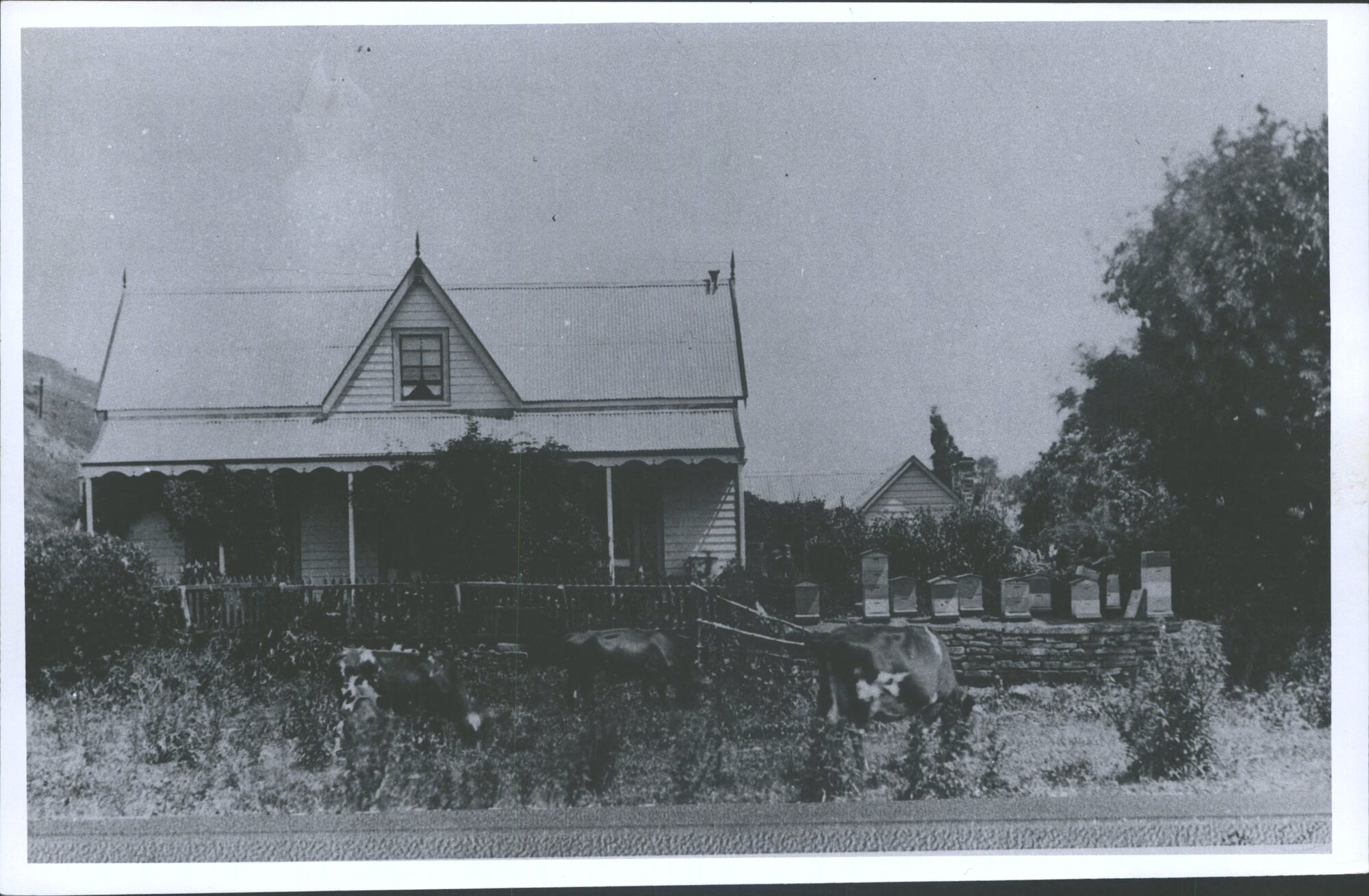 Adams accomodation house 1900s[?]