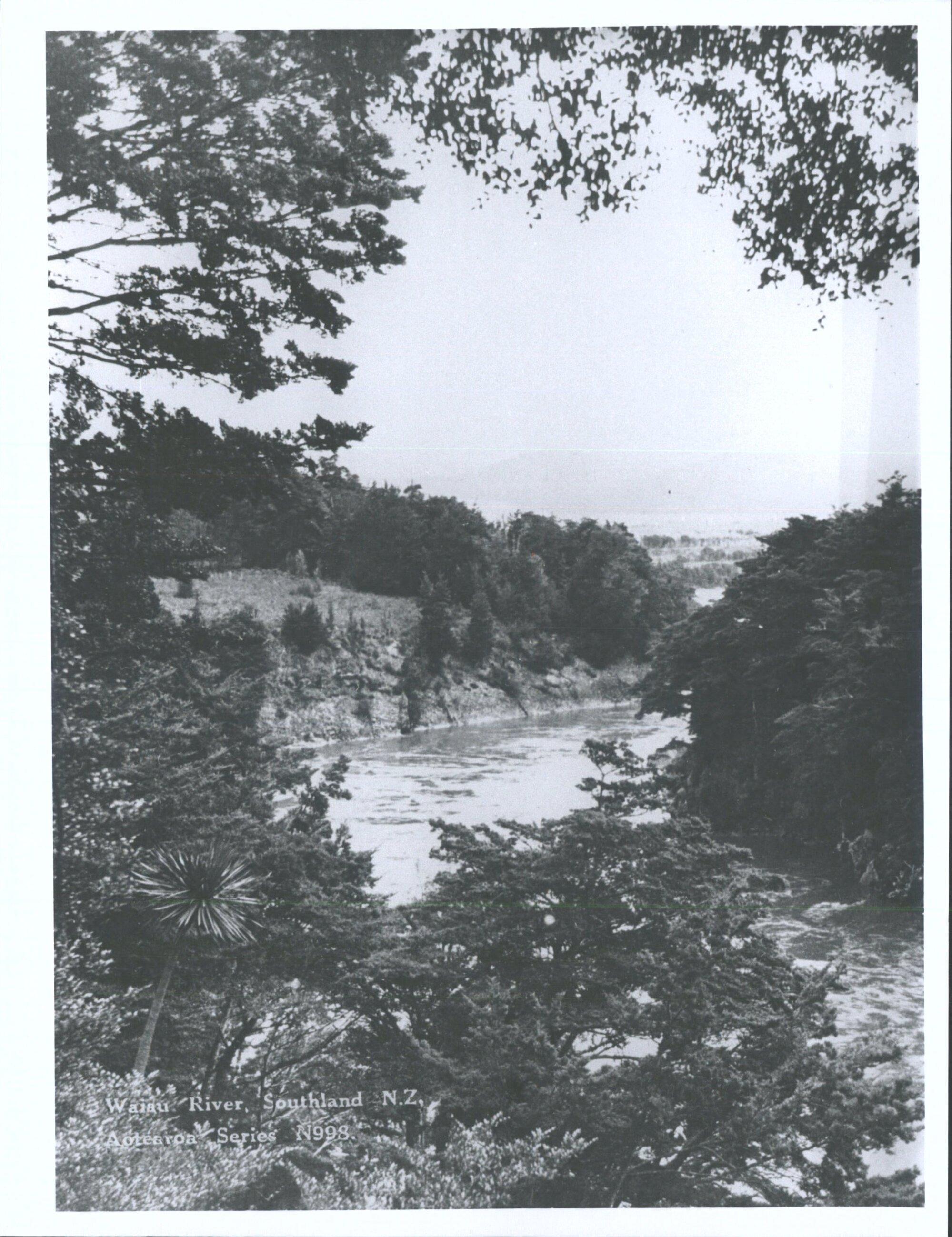 Waiau River, Southland, N.Z.