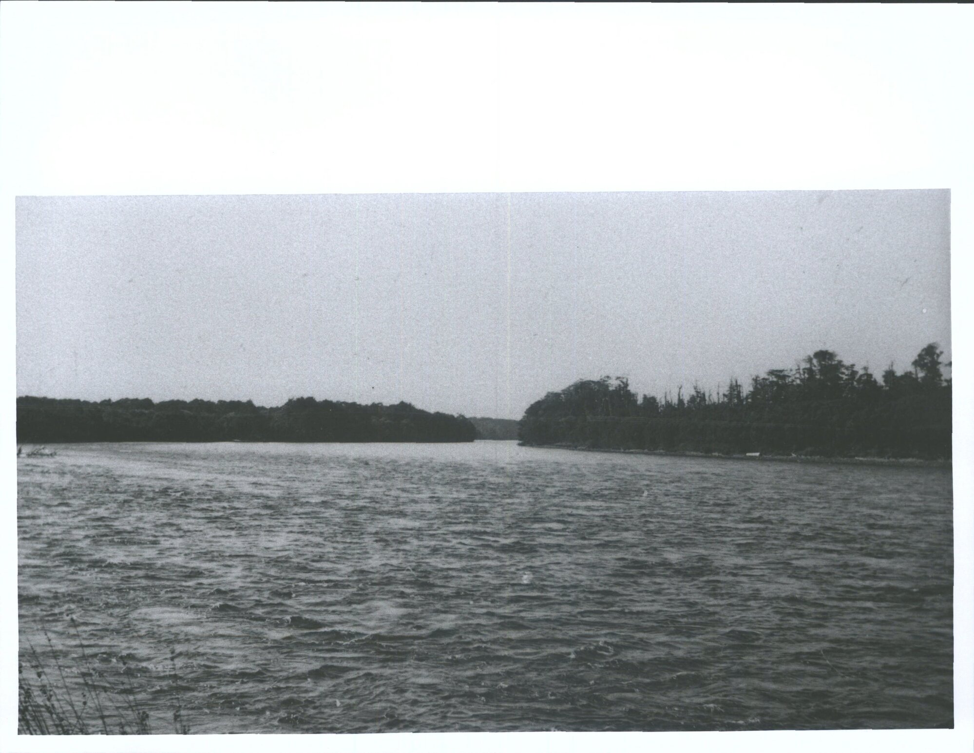 View of the Waiau River, Tuatapere