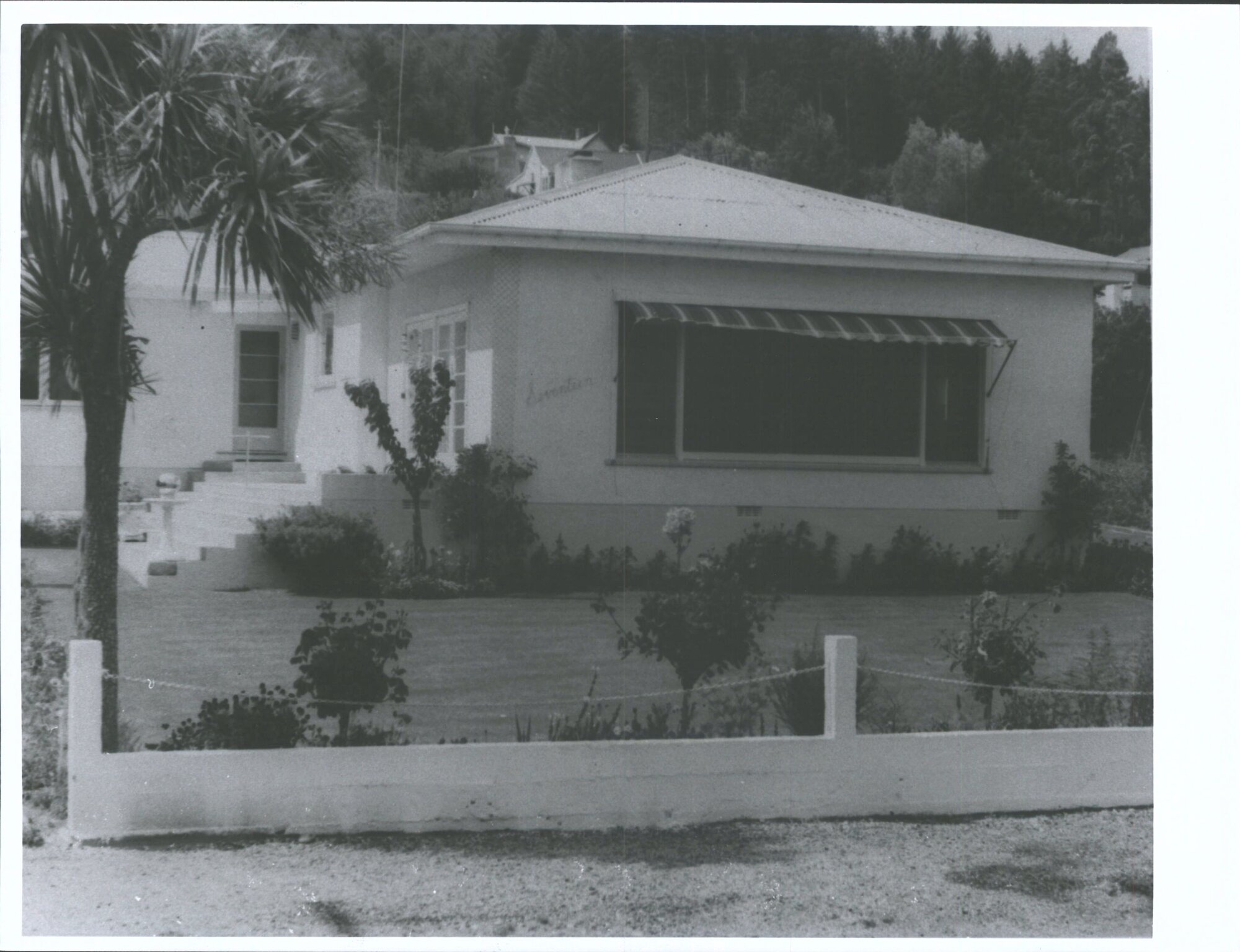 Local Home Gardens Competition. Second Prize: "Best All Round Garden" Mrs G. Cochrane 17 Melbourne Street