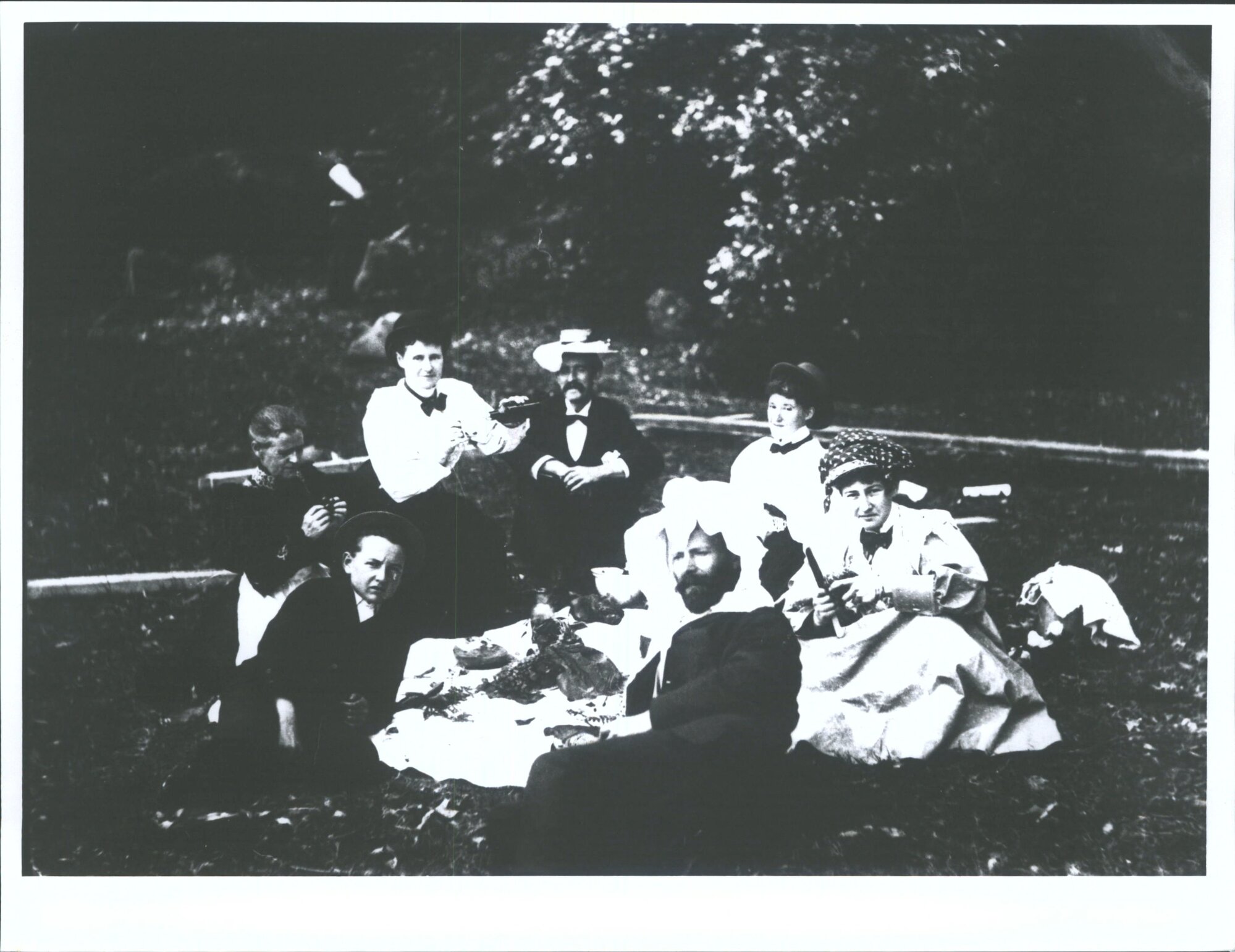 Picnic Group (Hudsons)