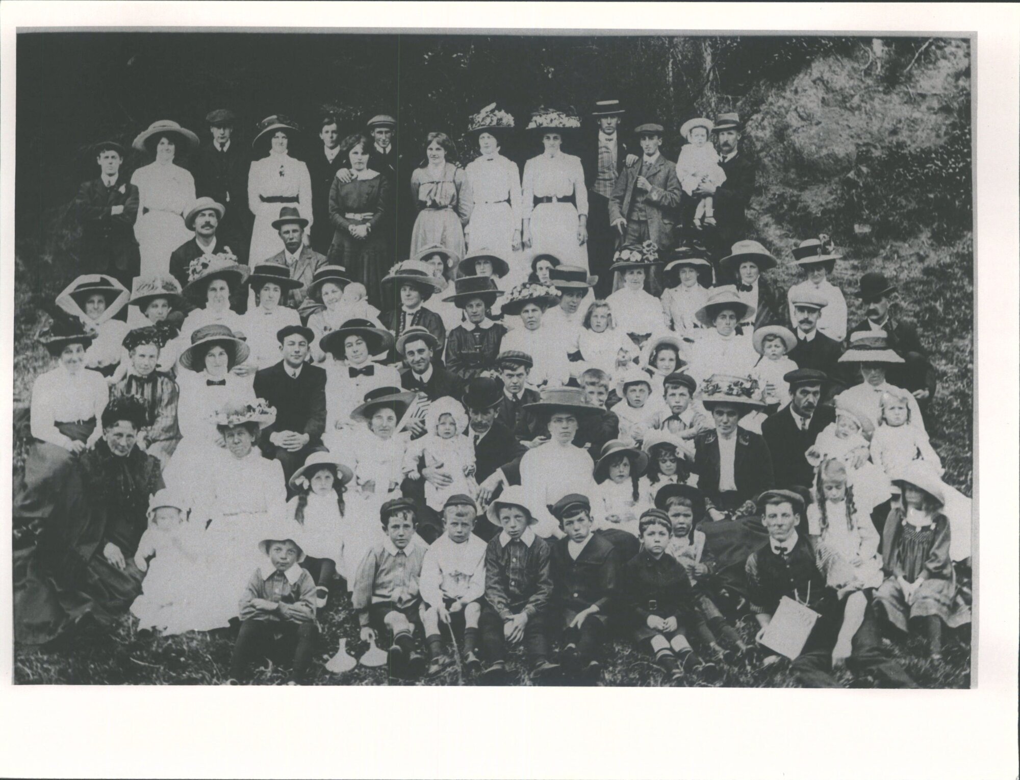 Lodge Picnic Frasers Gully