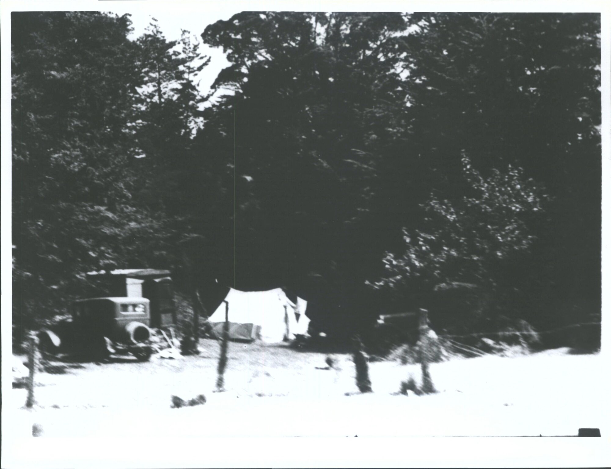 Kingston, Queenstown, Eglington Trip