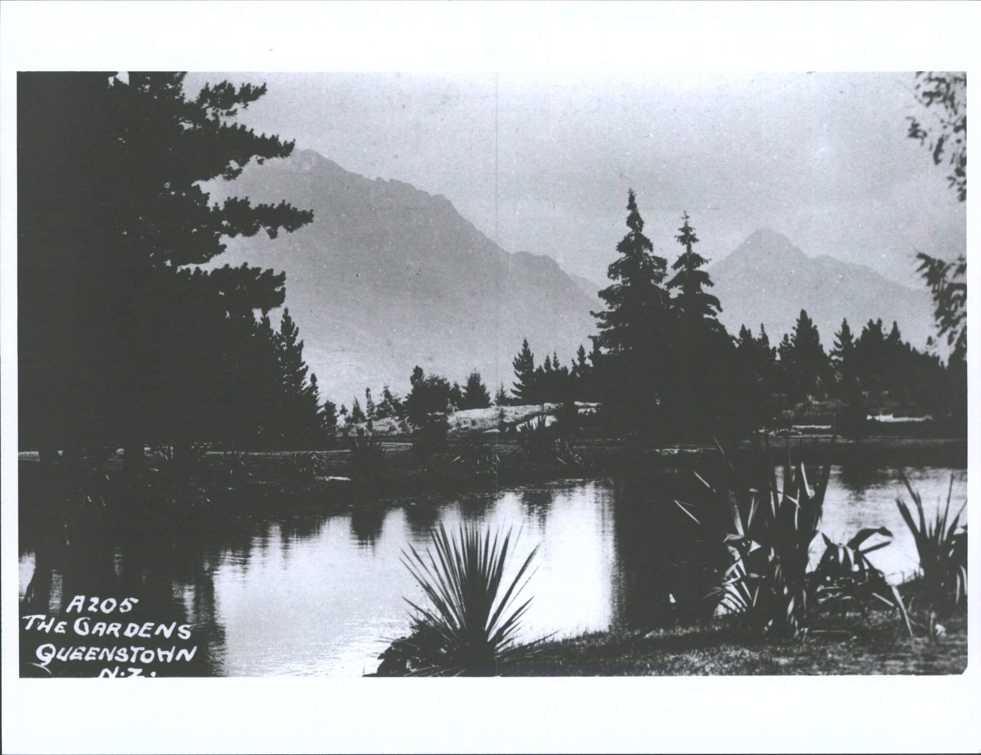The Gardens, Queenstown, N.Z.