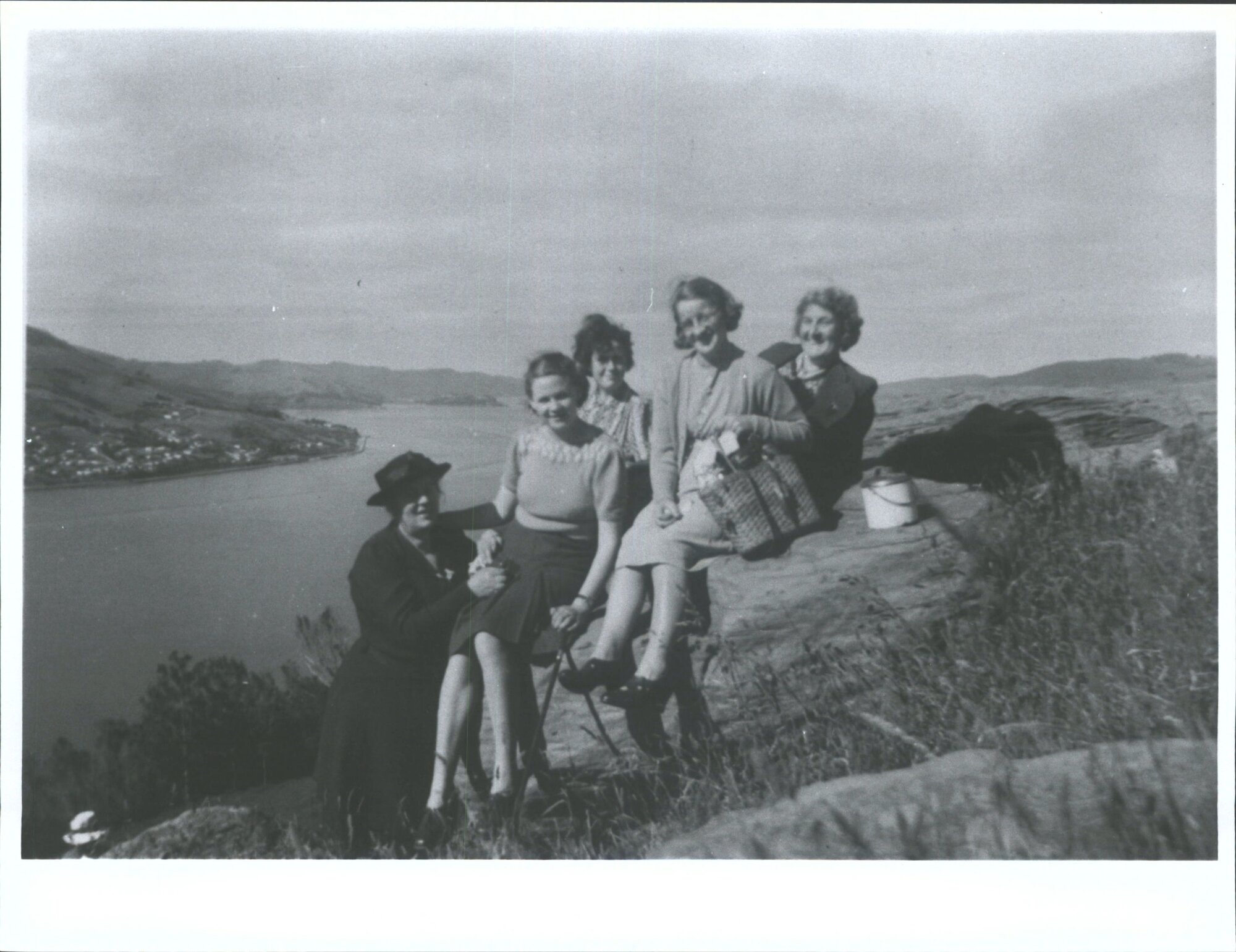 Picnic [Otago Peninsula]