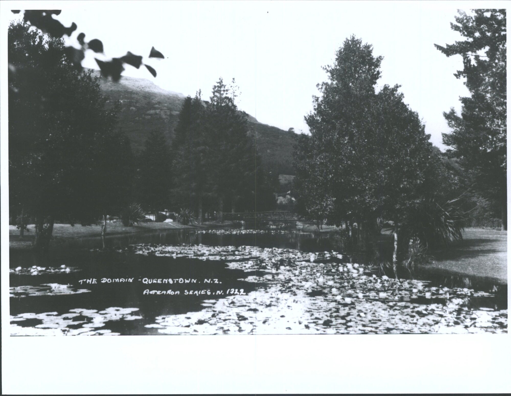 The Domain, Queenstown, N.Z.