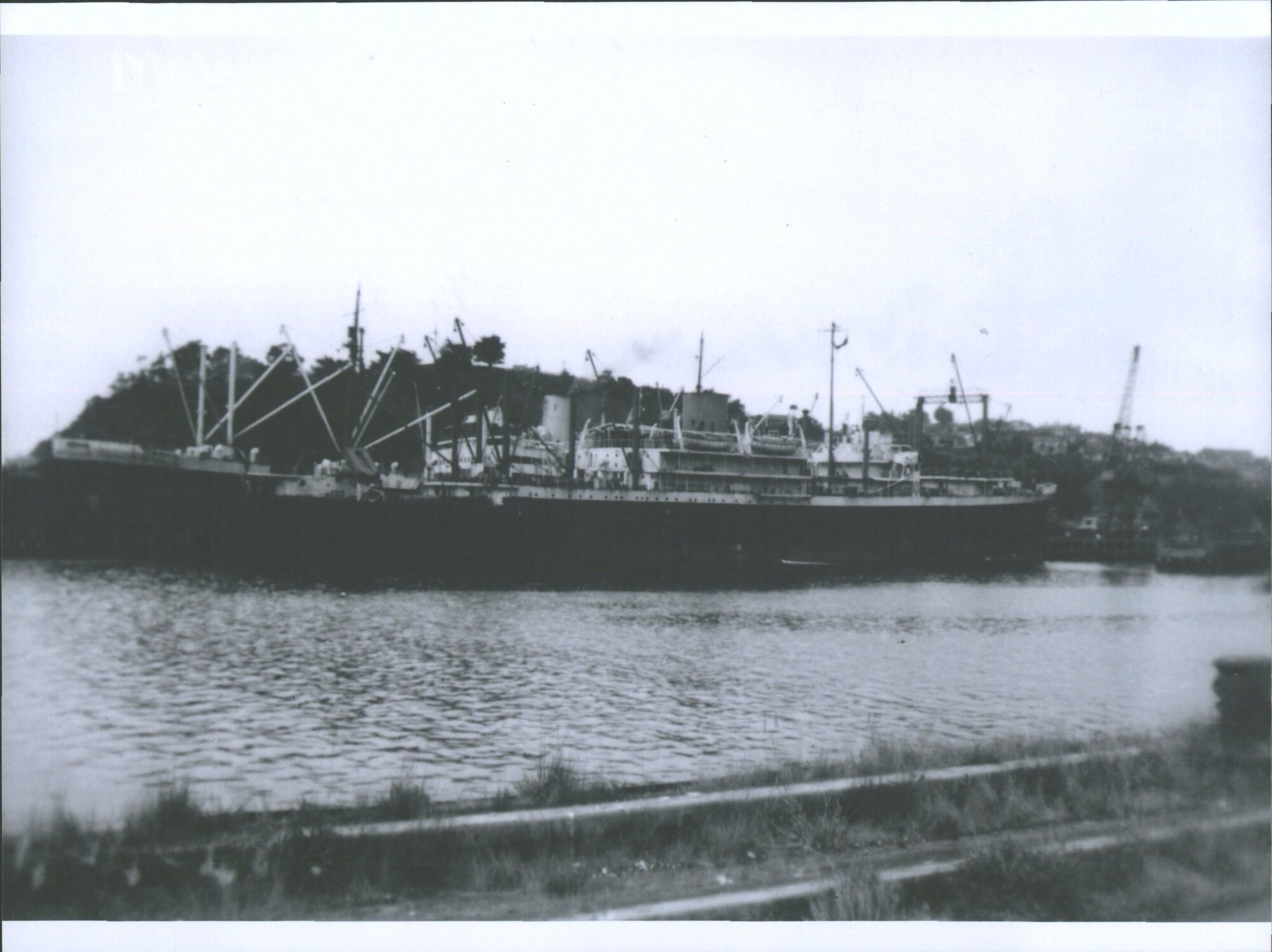Danneborg