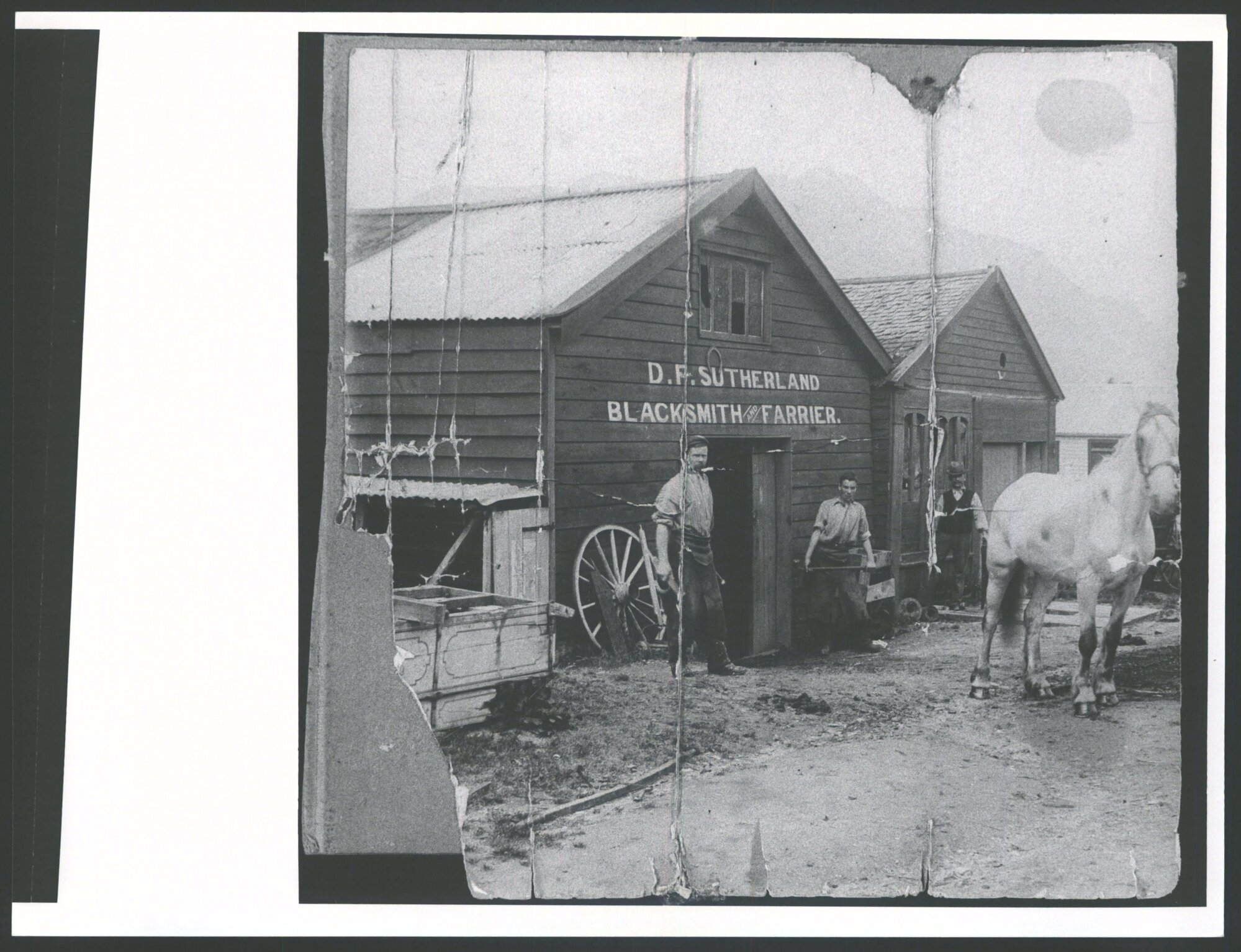 D. F. Sutherland Blacksmith &amp; Farrier