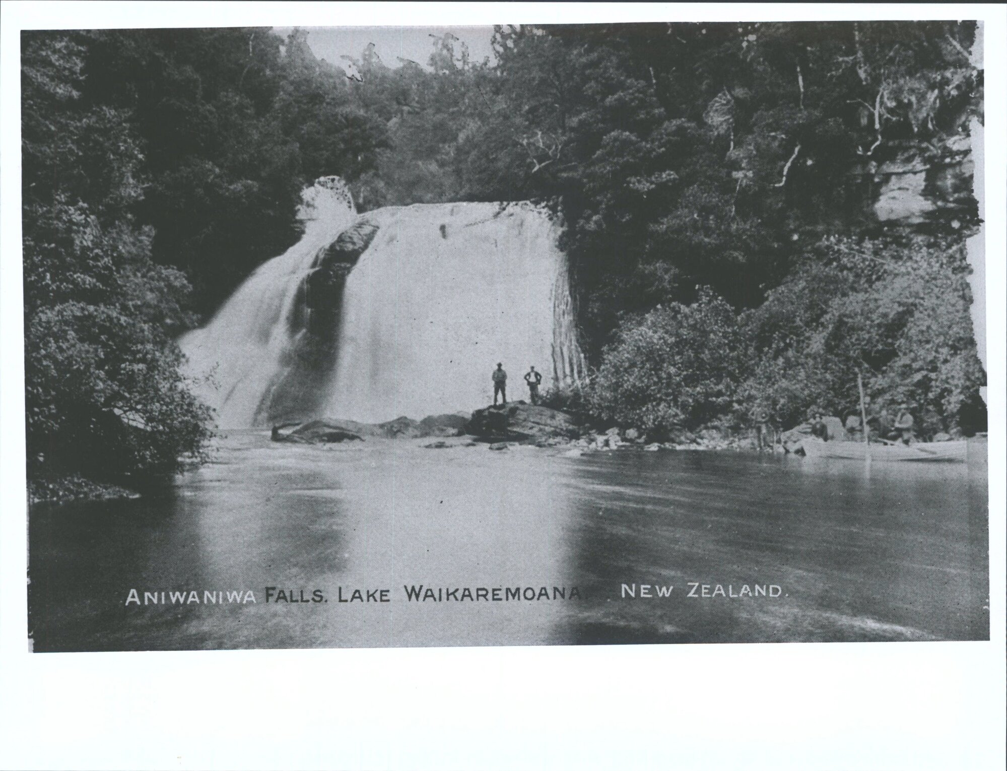 Aniwaniwa Falls, Lake Waikaremoana, N.Z.