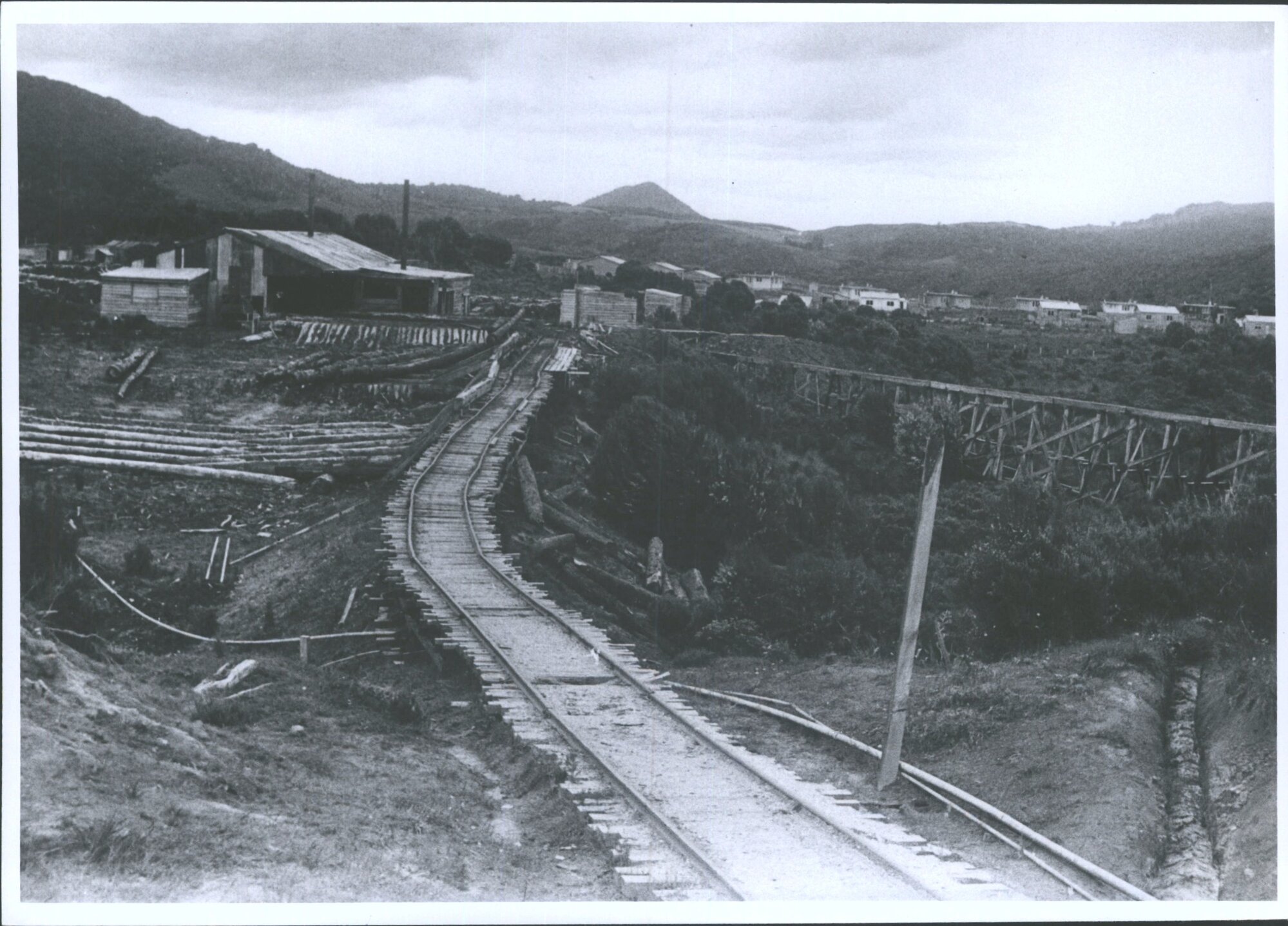 Blackhorn Mill (A), Waikawa