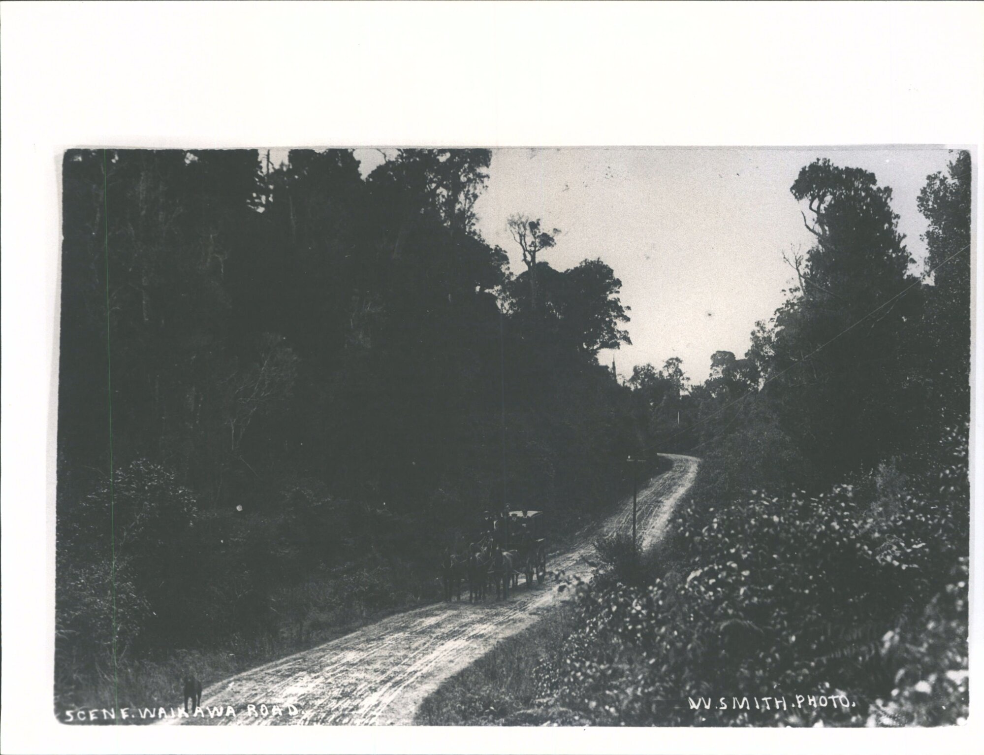 Scene on Waikawa Road