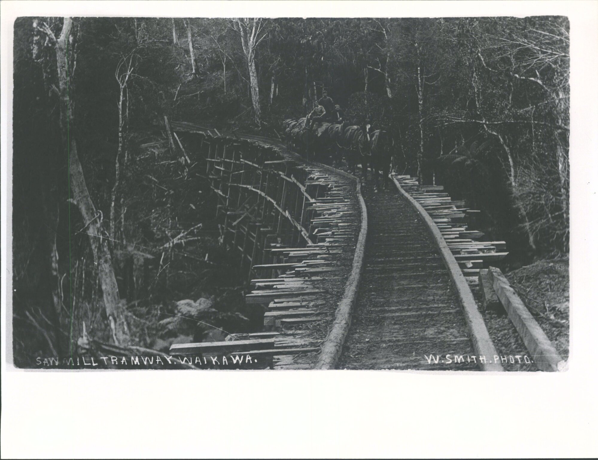 Sawmill Tramway, Waikawa