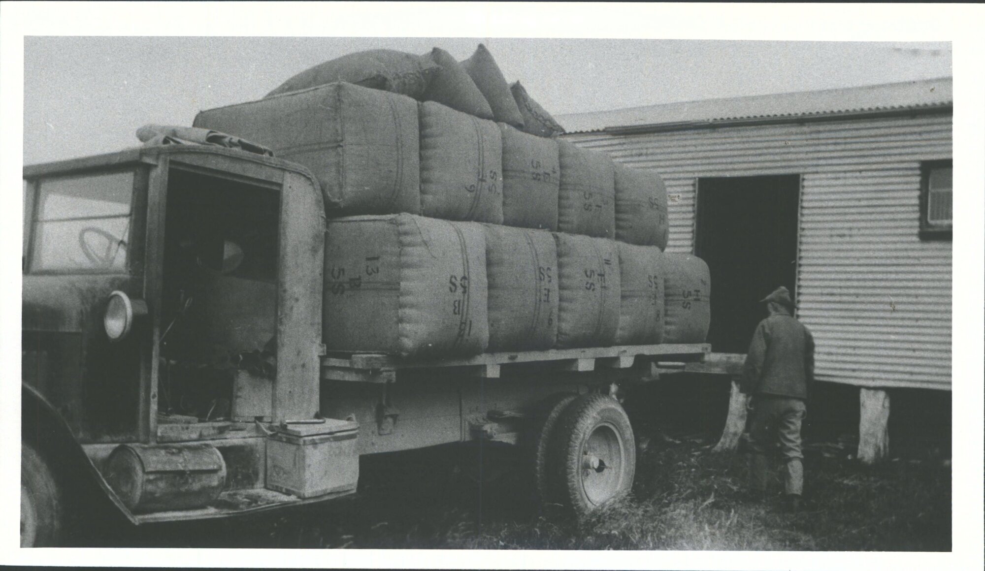 John Shield with total wool clip loaded on Nugget Burgess's International truck