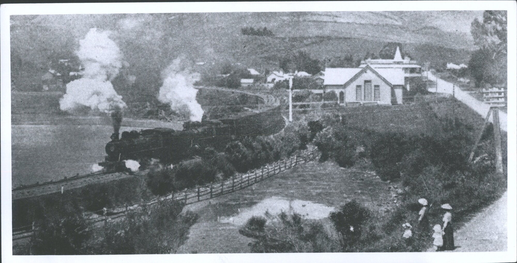 Express leaving Waitati