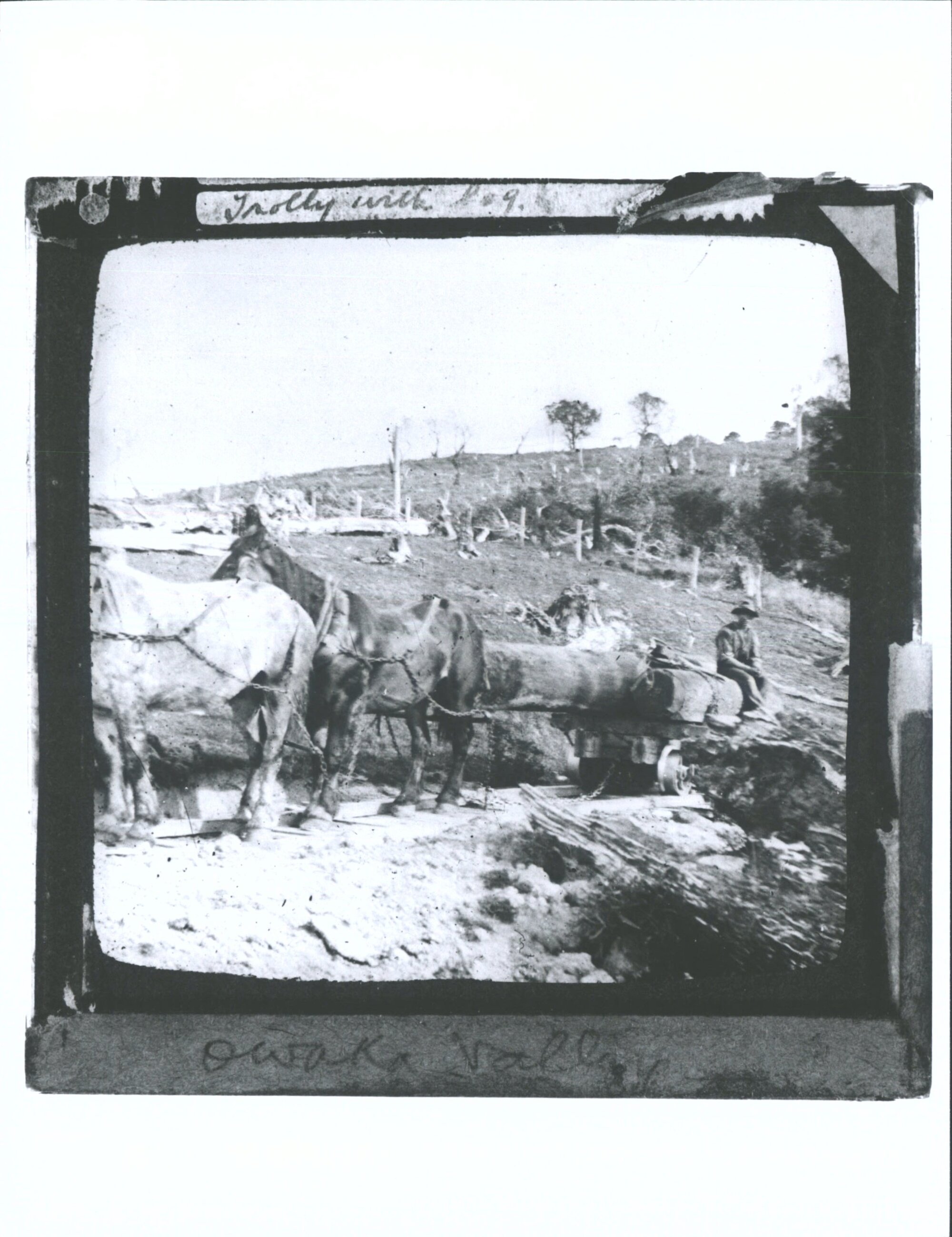 J. Chisholm Glass Lantern Slide 215