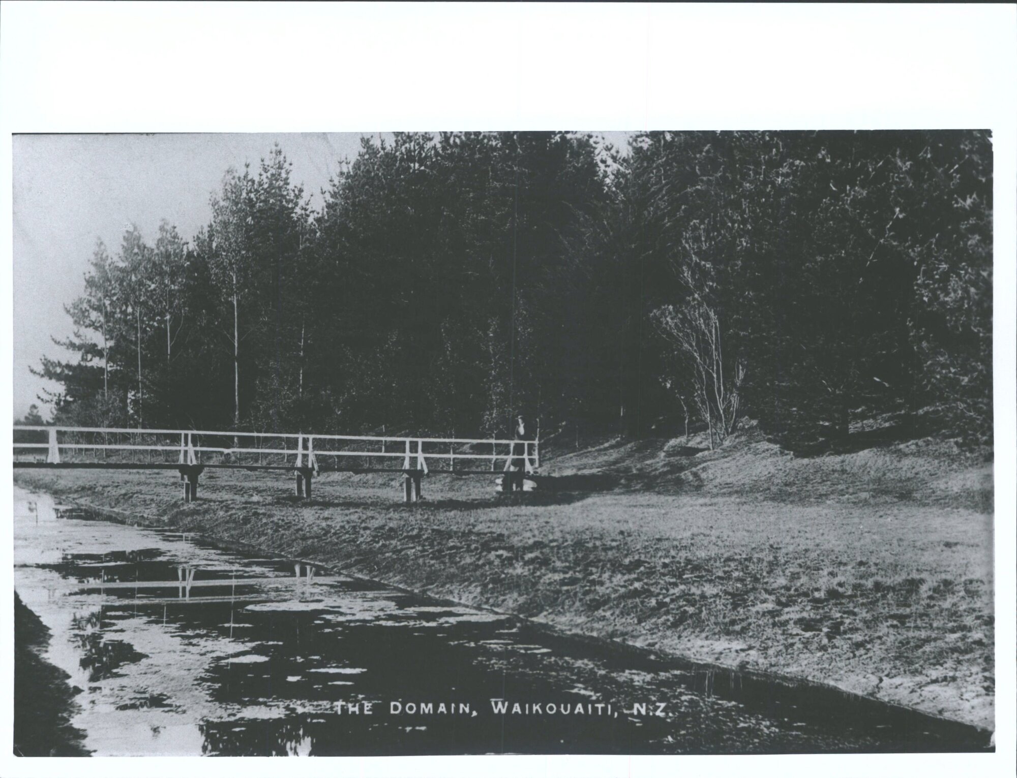 The Domain, Waikouaiti, N.Z.