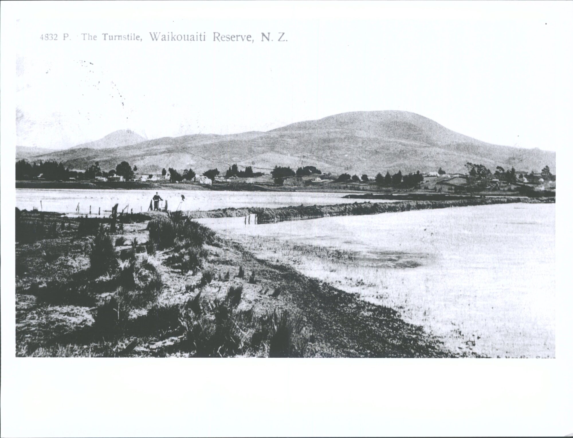 The Turnstile, Waikouaiti Reserve, N.Z.