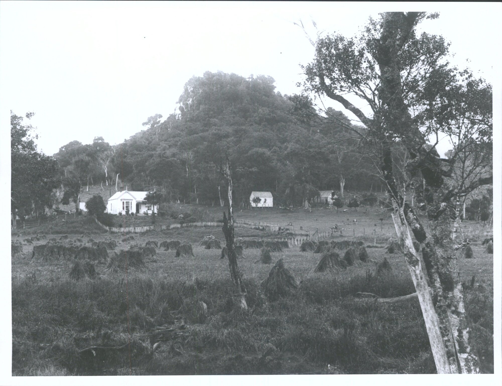 Bob McLatchies house, the Bonnet