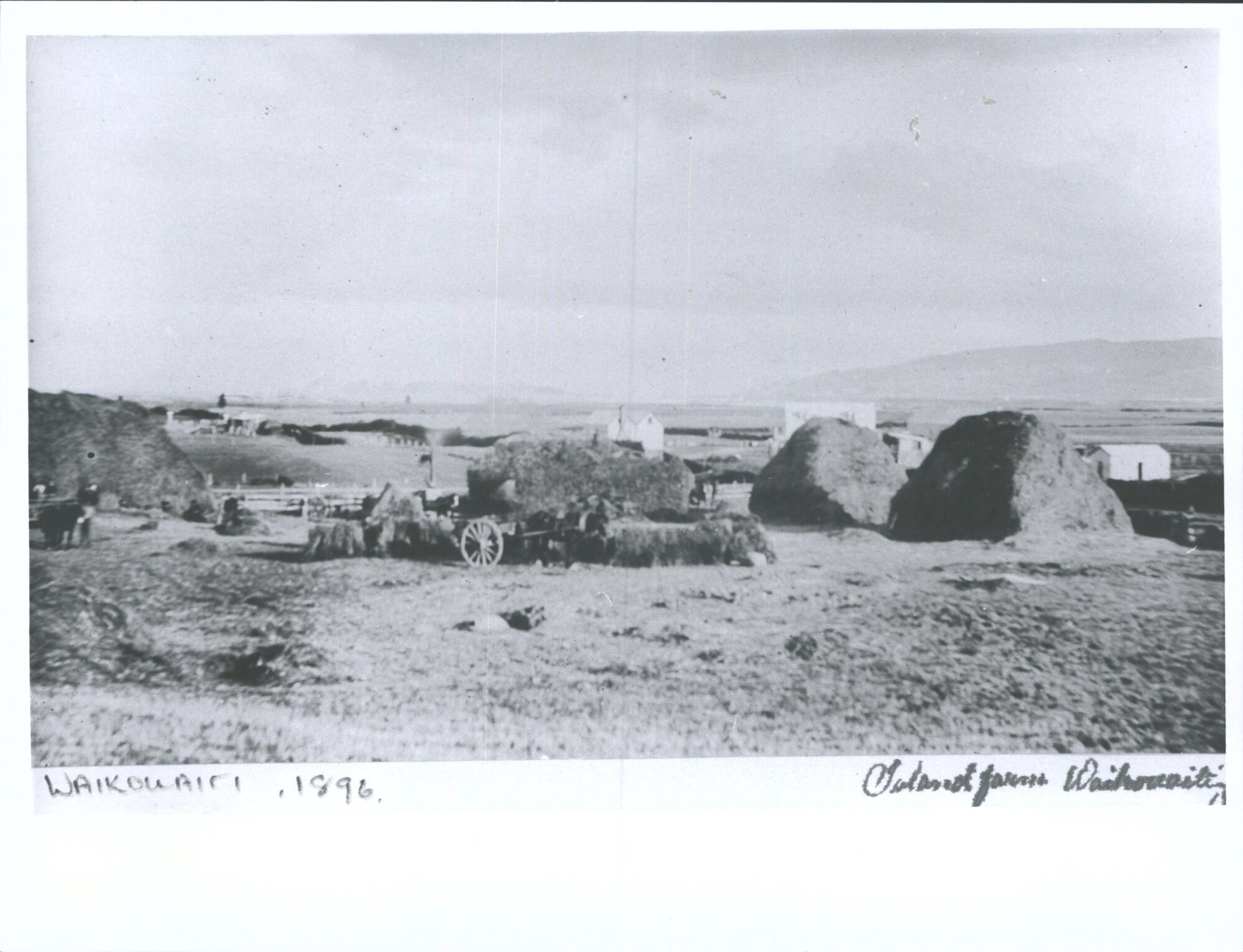 Island Farm, Waikouaiti