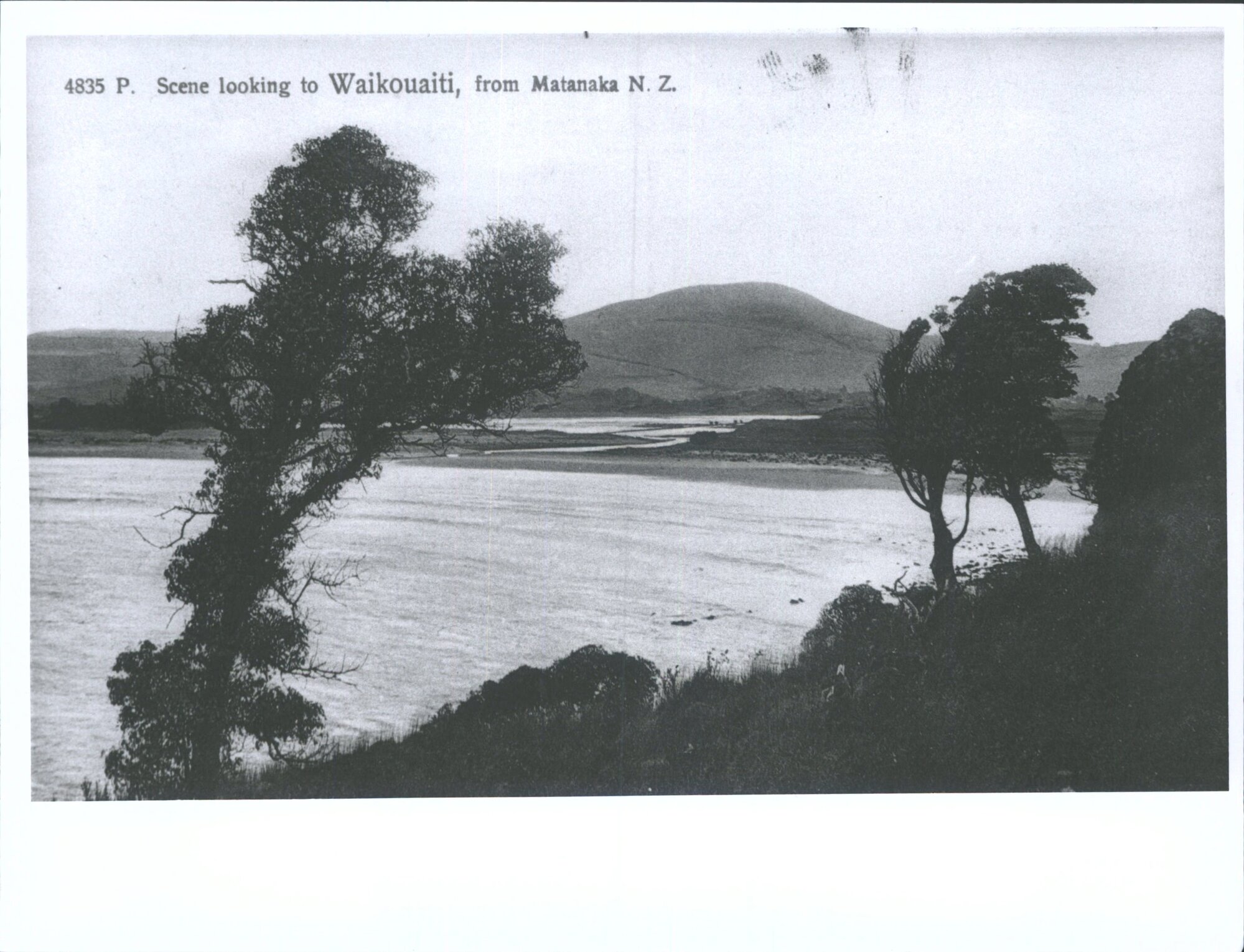 Scene looking to Waikouaiti, from Matanaka, N.Z.