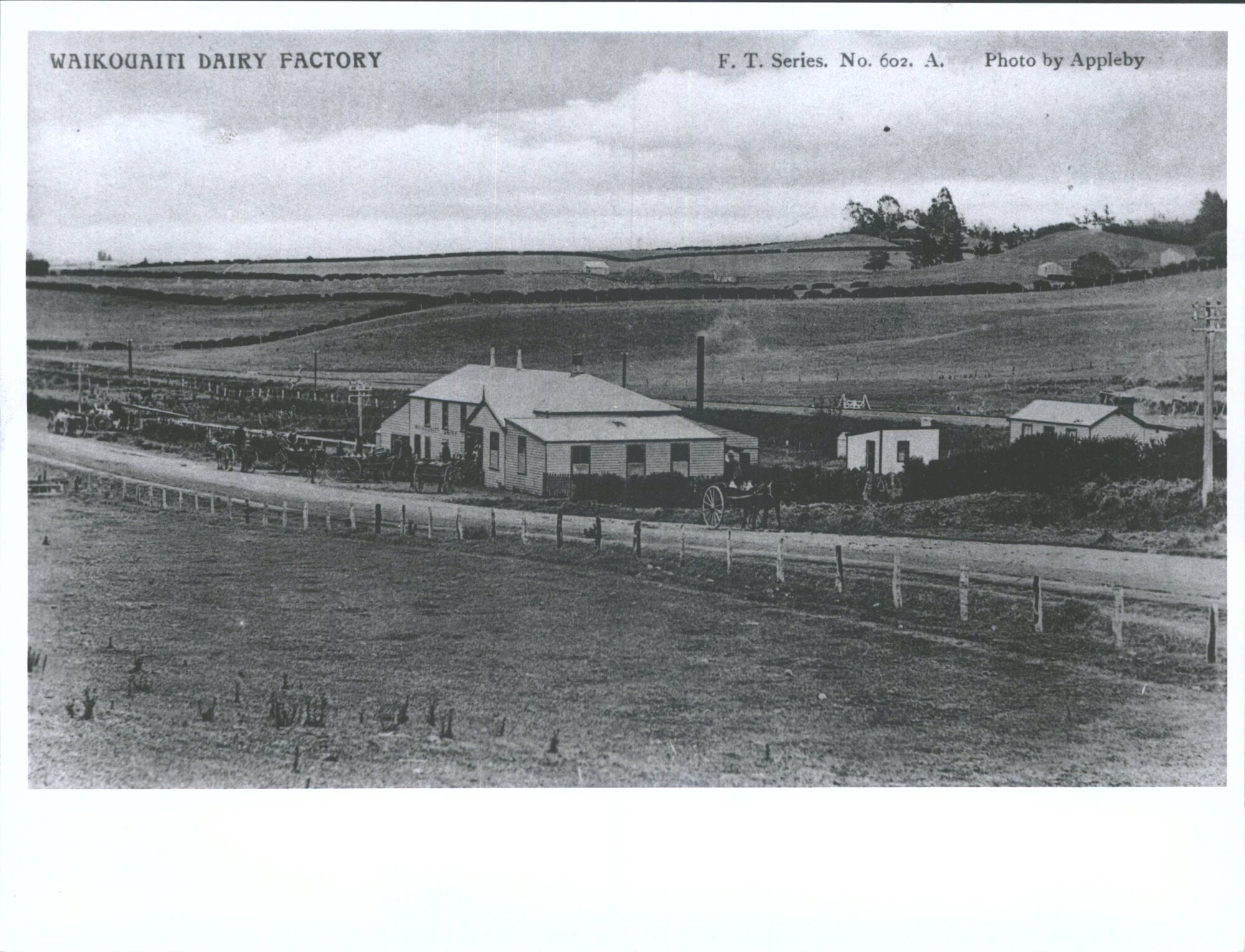 Waikouaiti Dairy Factory