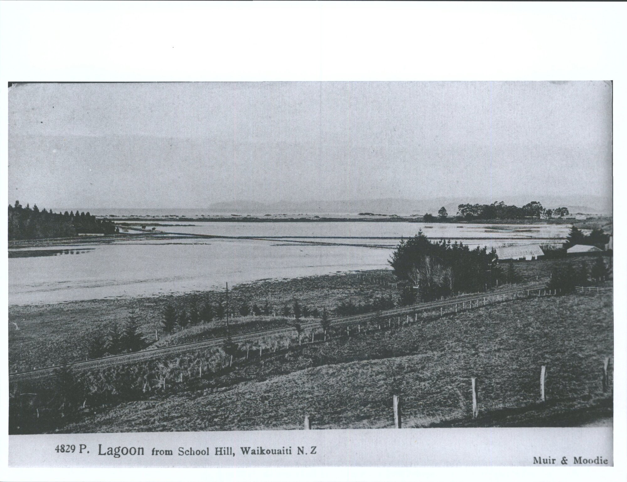 Lagoon from School Hill, Waikouaiti, N.Z.