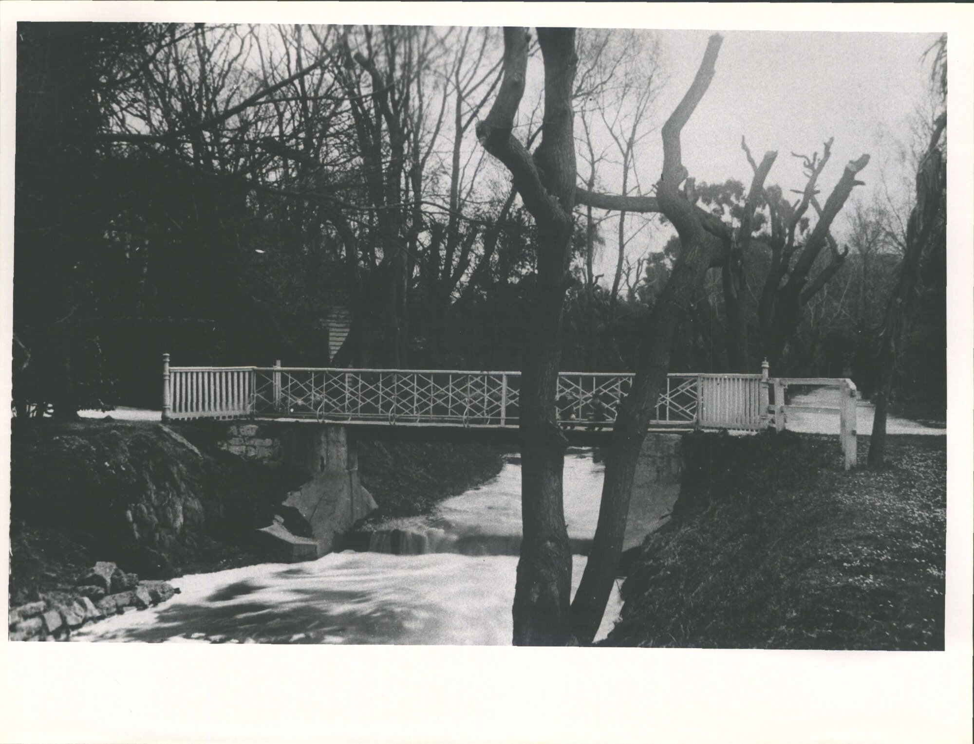 Foot bridge, Oamaru Gardens