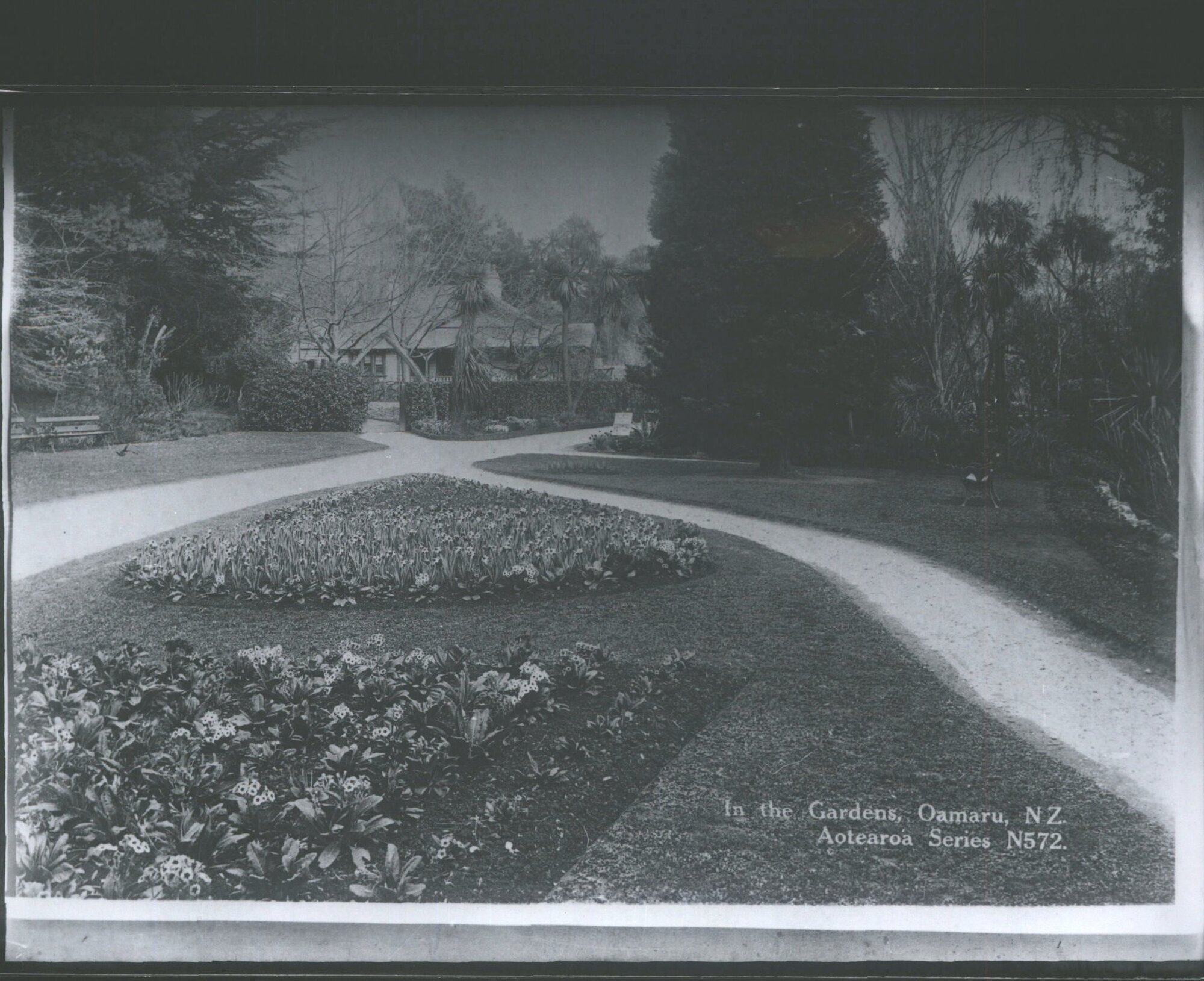 In the Gardens, Oamaru, N.Z.