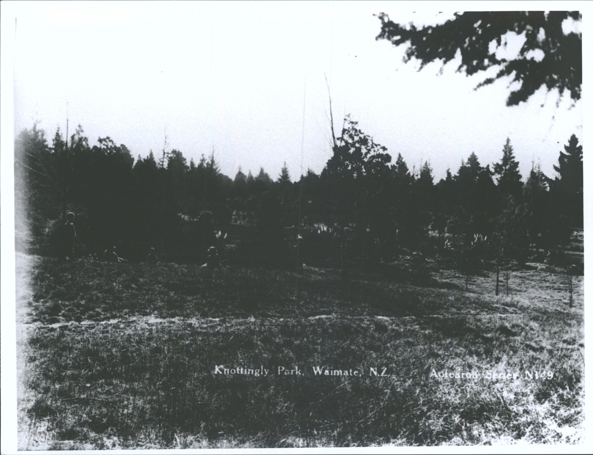 Knottingly Park, Waimate, N.Z.