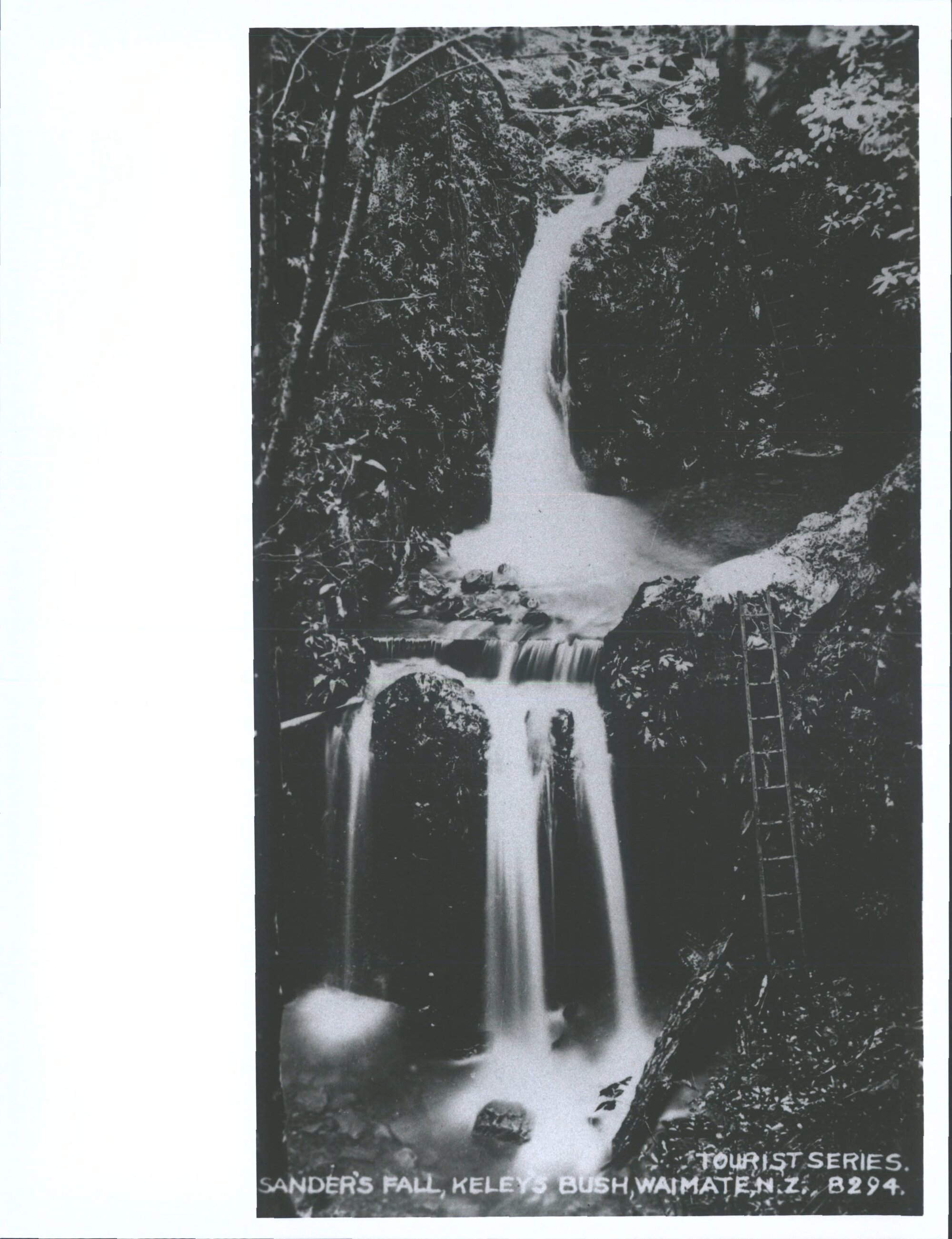 Sander's Fall, Keley's Bush, Waimate, N.Z.
