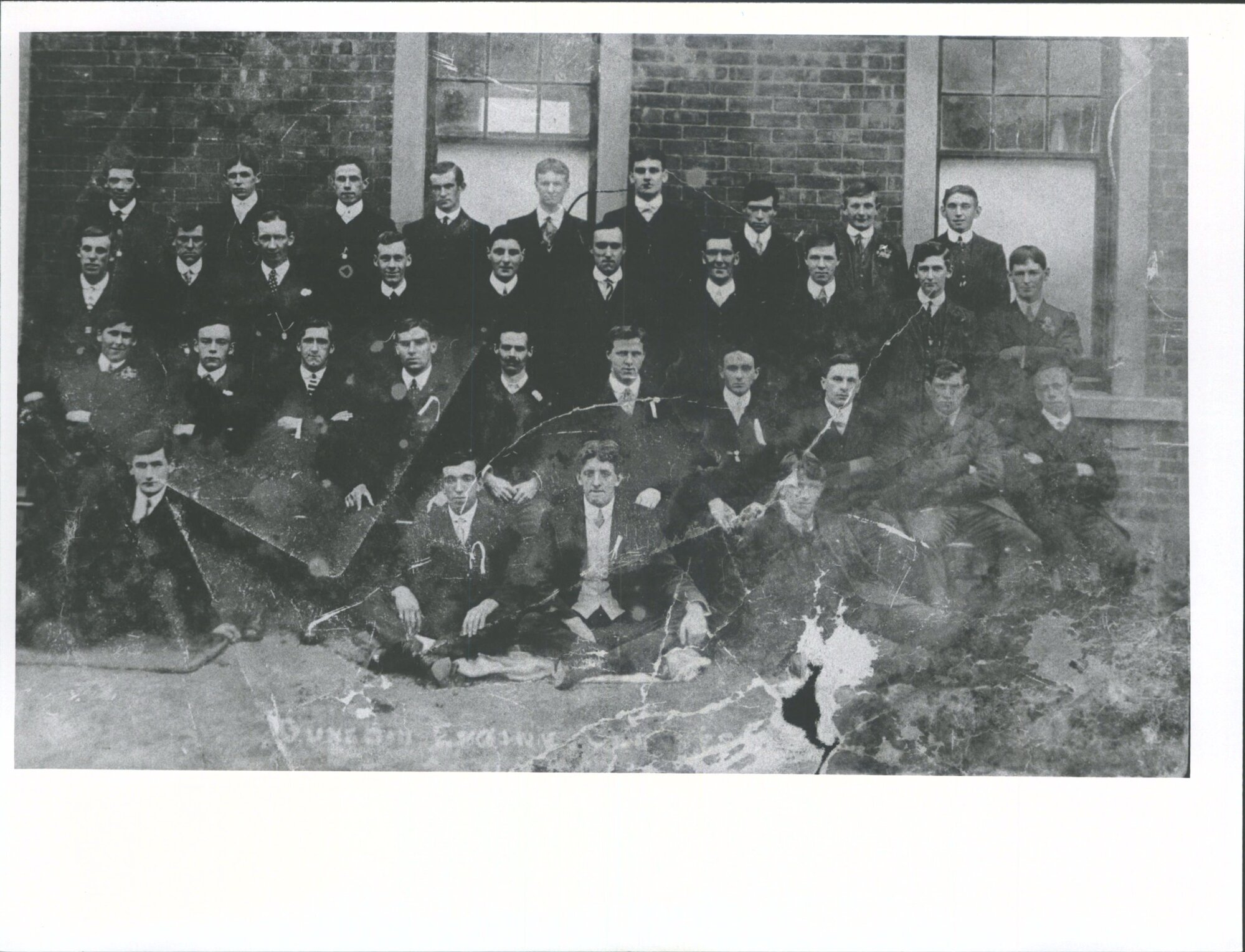 Dunedin Engine Driver,