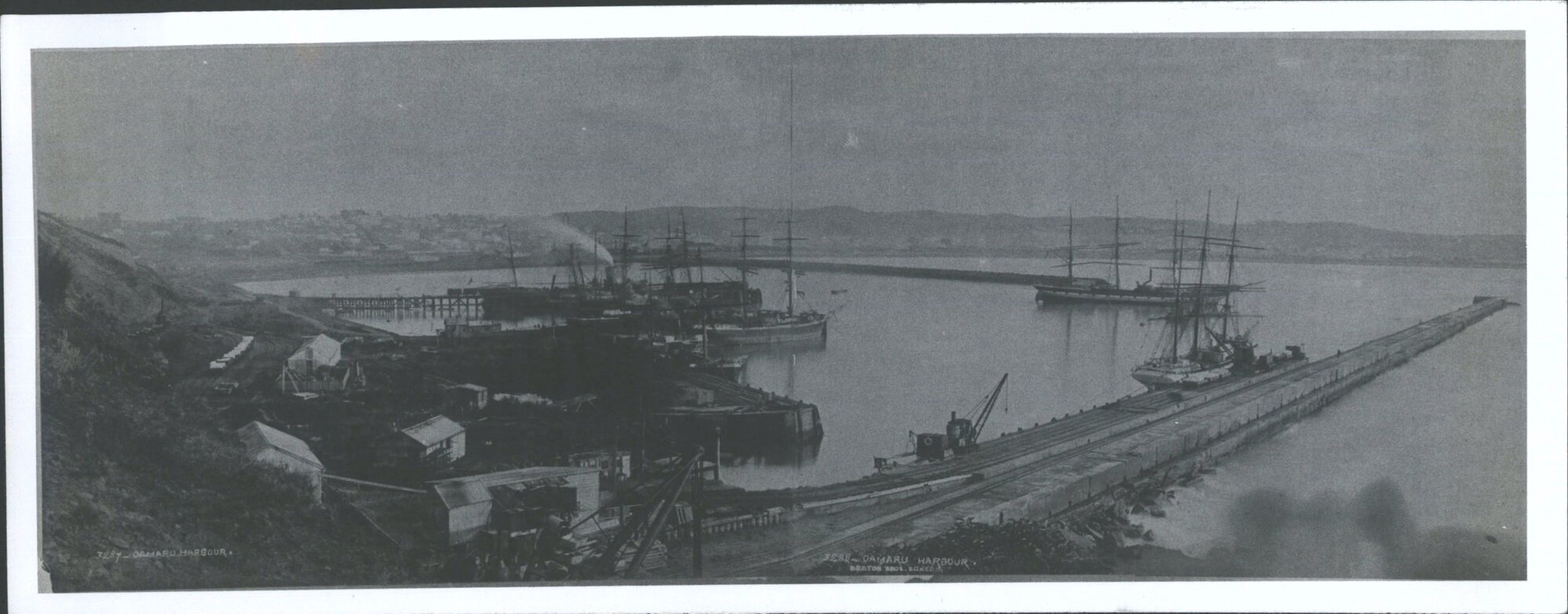 S.S. Elderslie, S.S. KORANUI P.S. Koputai Bargus Excelsior Brig Zaima. S.S. Mahinapua S.S. Dunedin Barque Storkem,